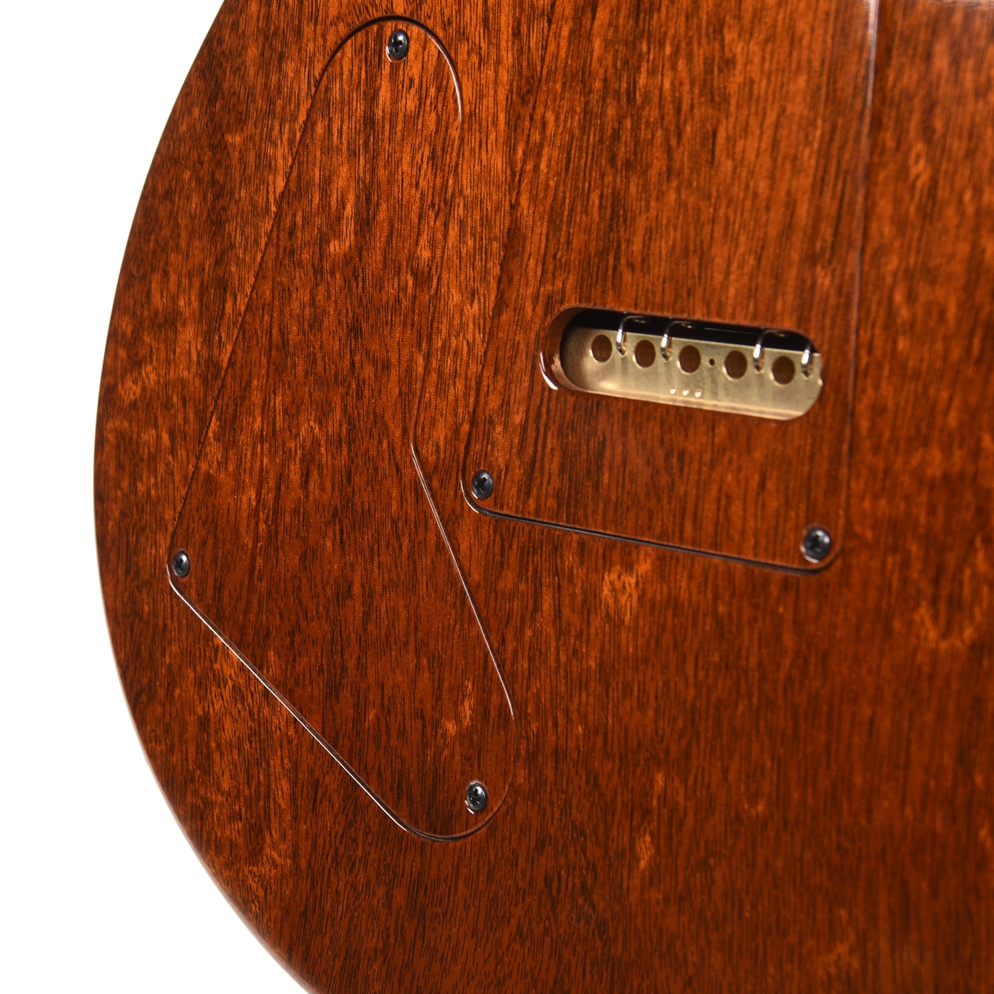 PRS Private Stock #10439 Custom 22 Salmon Spalted Maple w/Roasted Curly Maple Neck & Macassar Ebony Fingerboard Electric Guitars / Solid Body