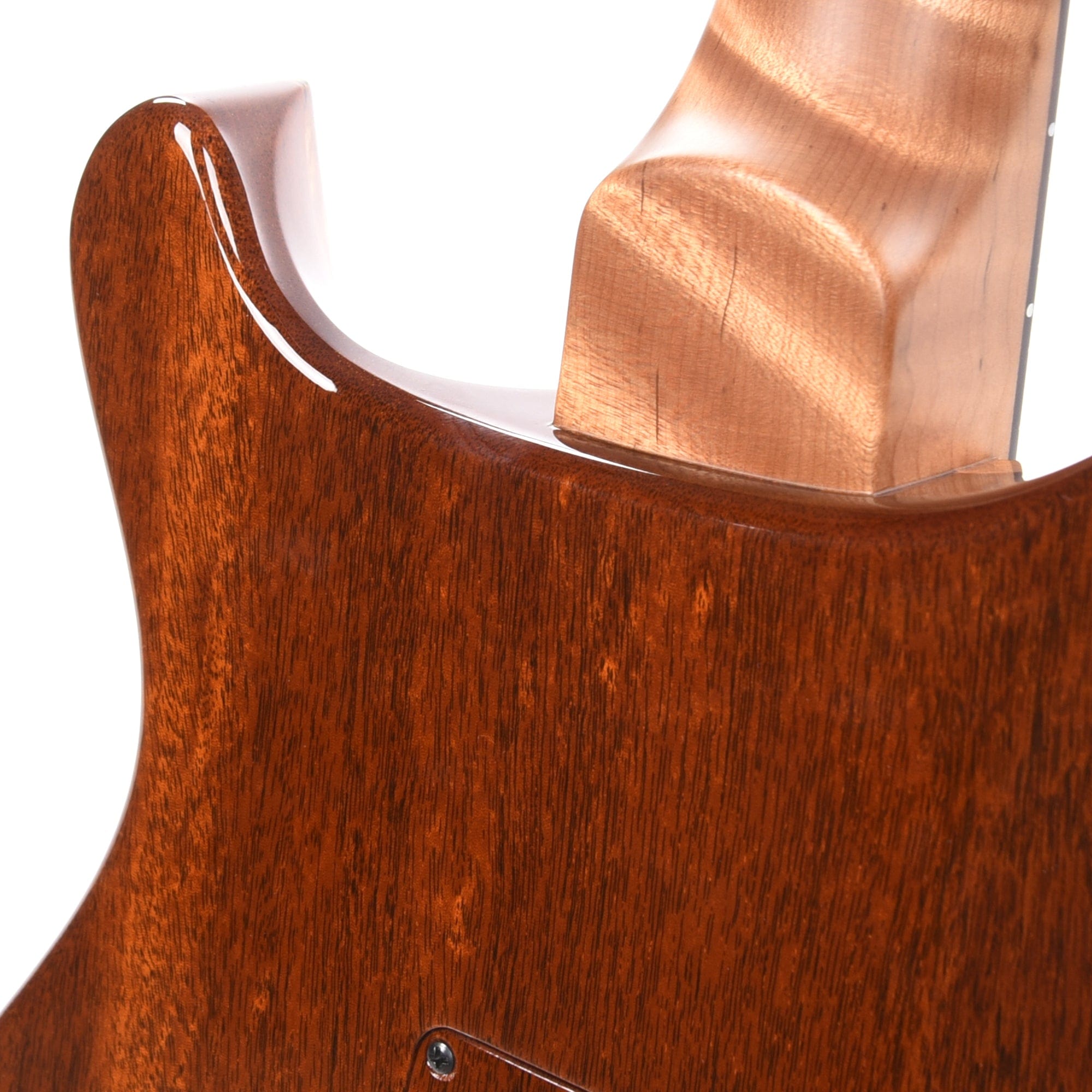 PRS Private Stock #10439 Custom 22 Salmon Spalted Maple w/Roasted Curly Maple Neck & Macassar Ebony Fingerboard Electric Guitars / Solid Body