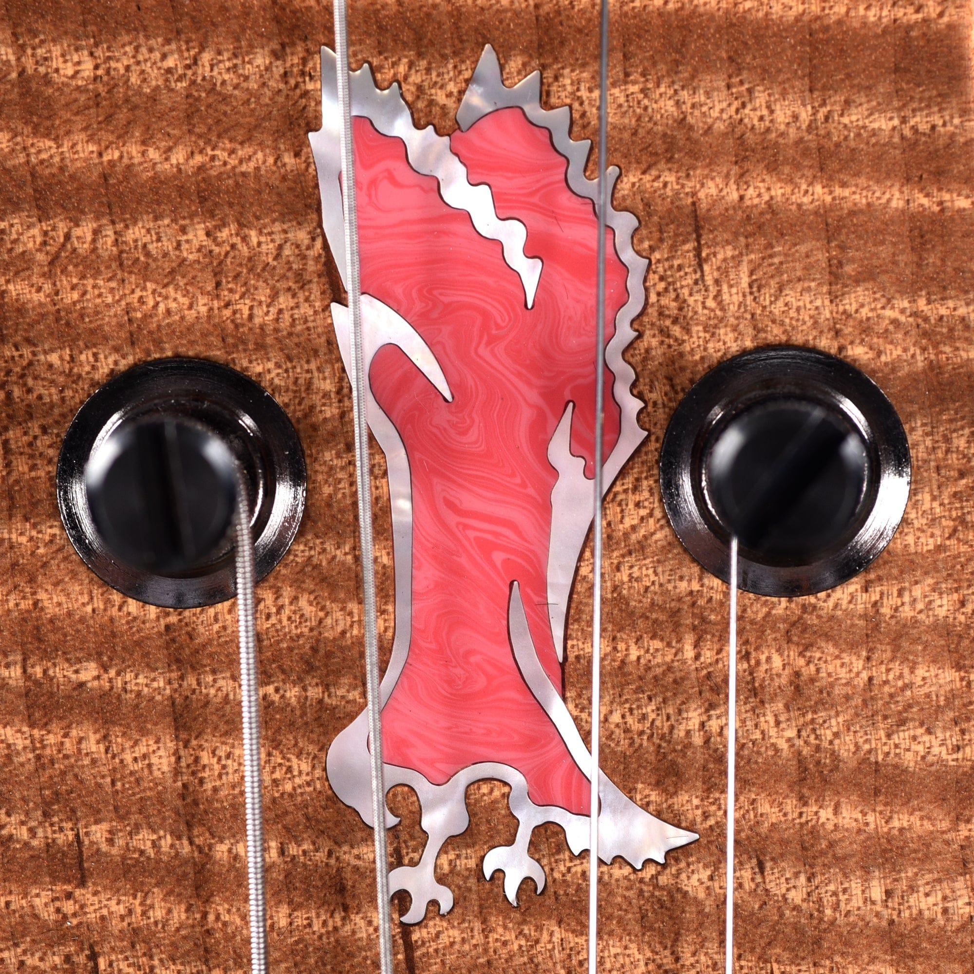 PRS Private Stock #10439 Custom 22 Salmon Spalted Maple w/Roasted Curly Maple Neck & Macassar Ebony Fingerboard Electric Guitars / Solid Body