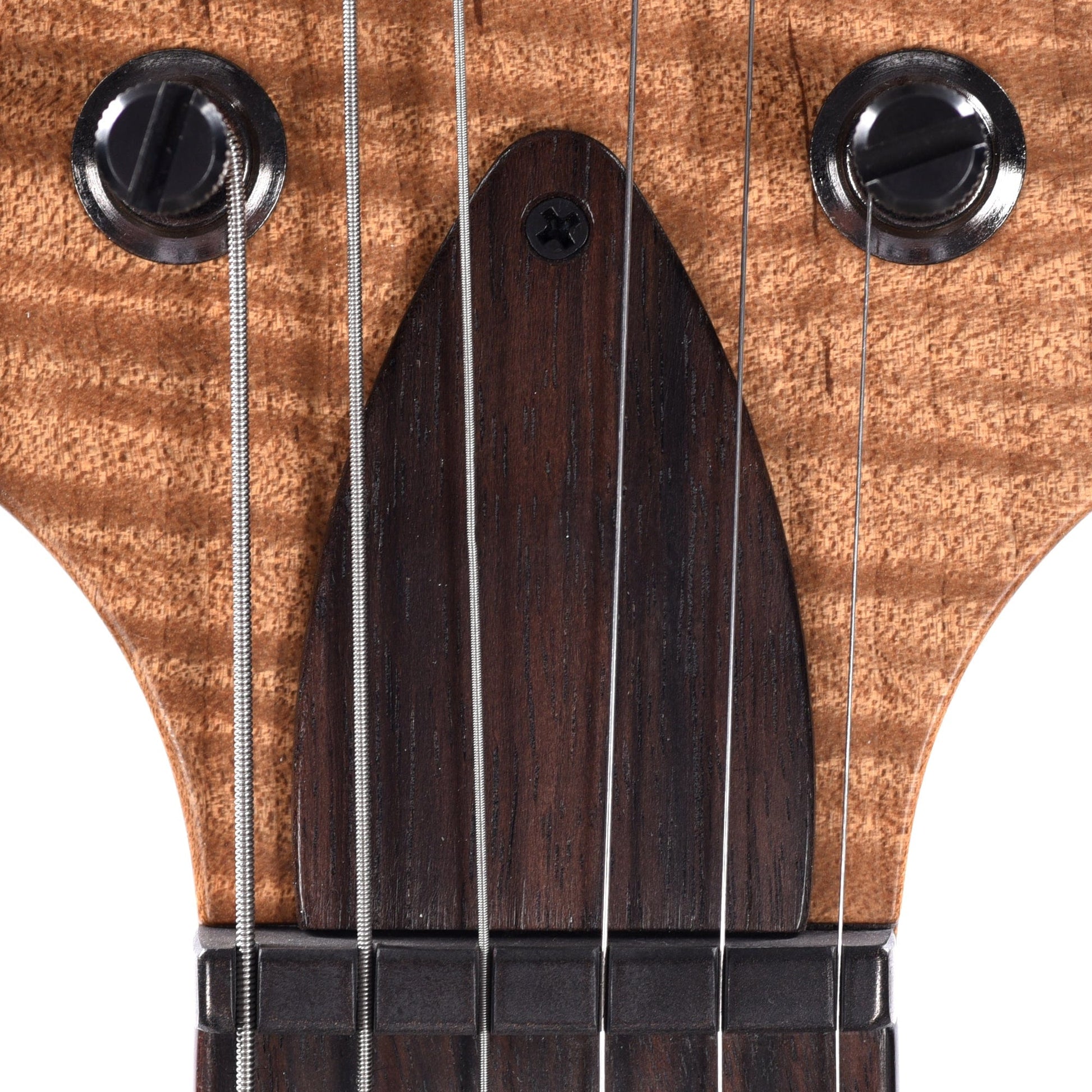 PRS Private Stock #10439 Custom 22 Salmon Spalted Maple w/Roasted Curly Maple Neck & Macassar Ebony Fingerboard Electric Guitars / Solid Body