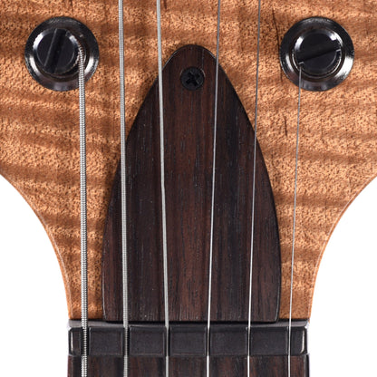 PRS Private Stock #10439 Custom 22 Salmon Spalted Maple w/Roasted Curly Maple Neck & Macassar Ebony Fingerboard Electric Guitars / Solid Body