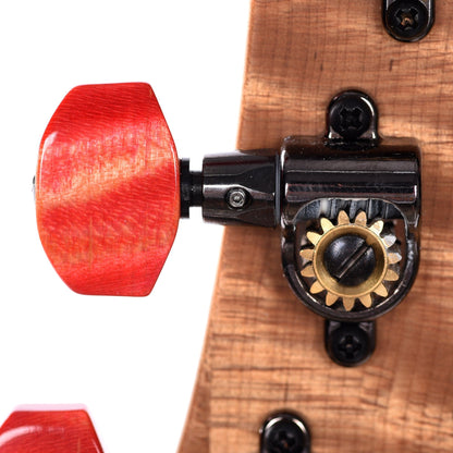 PRS Private Stock #10439 Custom 22 Salmon Spalted Maple w/Roasted Curly Maple Neck & Macassar Ebony Fingerboard Electric Guitars / Solid Body