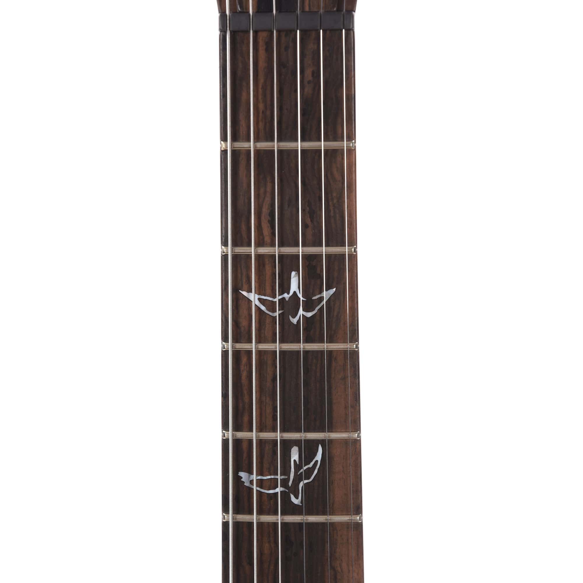 PRS Private Stock #10442 Custom 24 Aqua Violet Glow Quilt Maple w/Figured Mahogany Neck & Exotic Ebony Fingerboard Electric Guitars / Solid Body