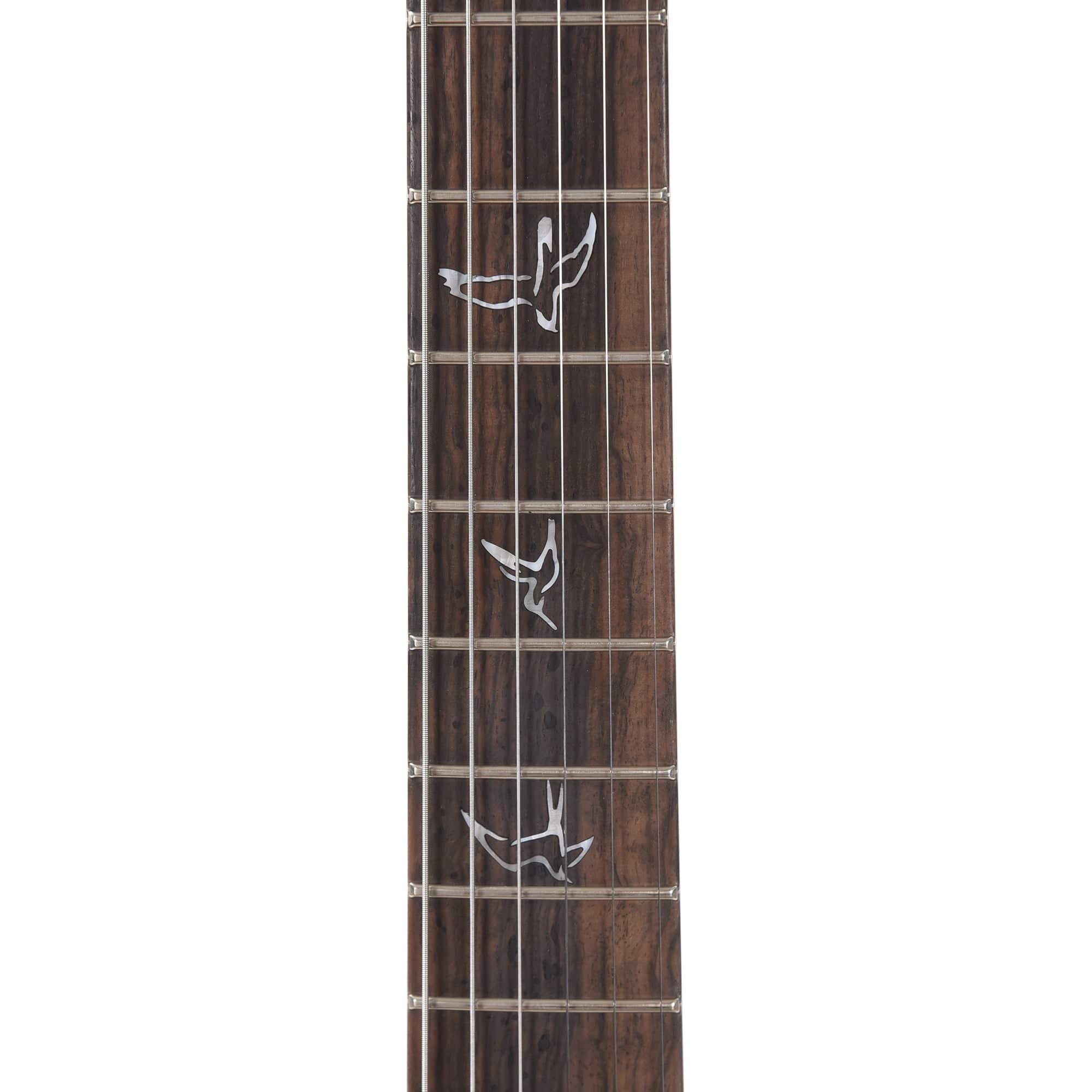 PRS Private Stock #10442 Custom 24 Aqua Violet Glow Quilt Maple w/Figured Mahogany Neck & Exotic Ebony Fingerboard Electric Guitars / Solid Body