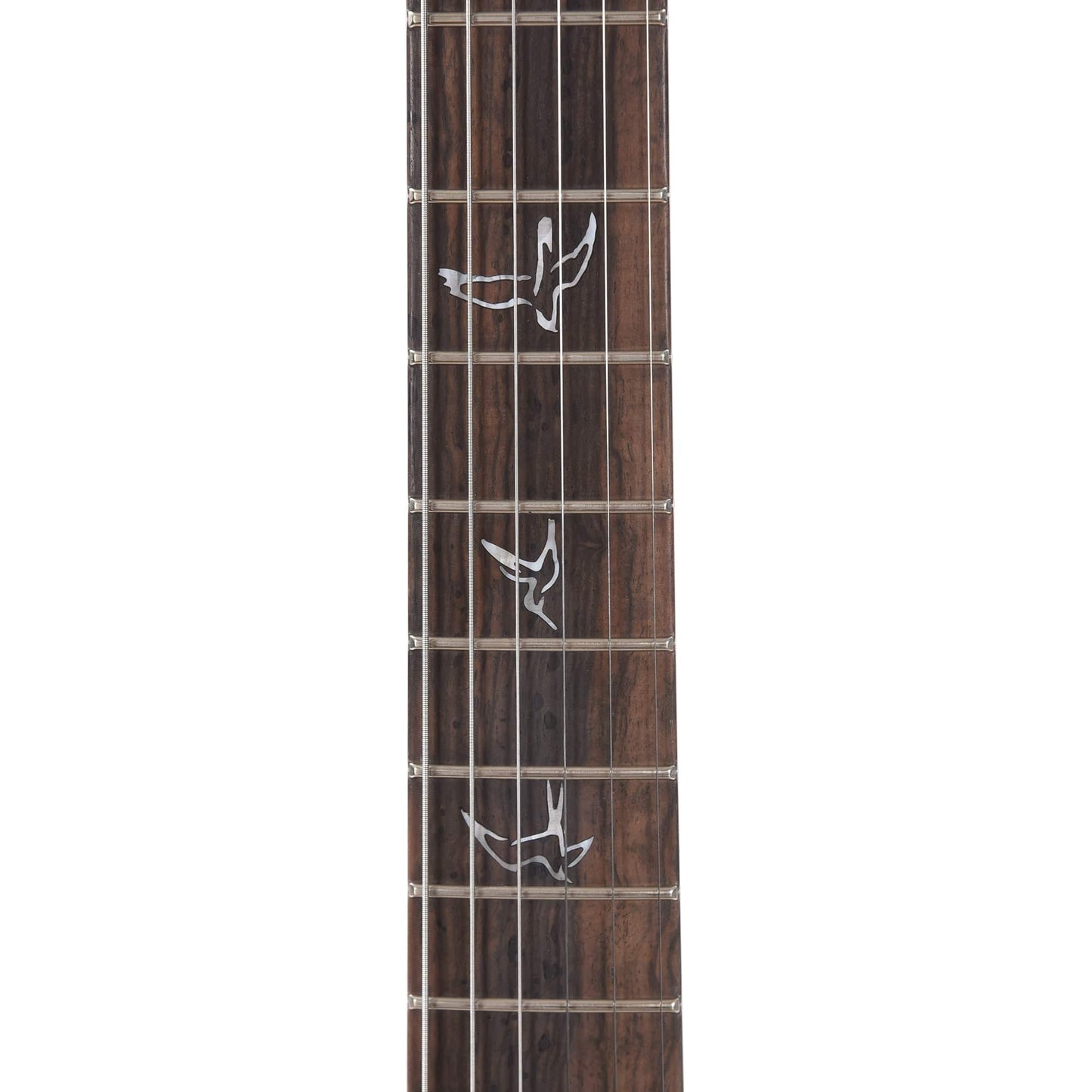 PRS Private Stock #10442 Custom 24 Aqua Violet Glow Quilt Maple w/Figured Mahogany Neck & Exotic Ebony Fingerboard Electric Guitars / Solid Body