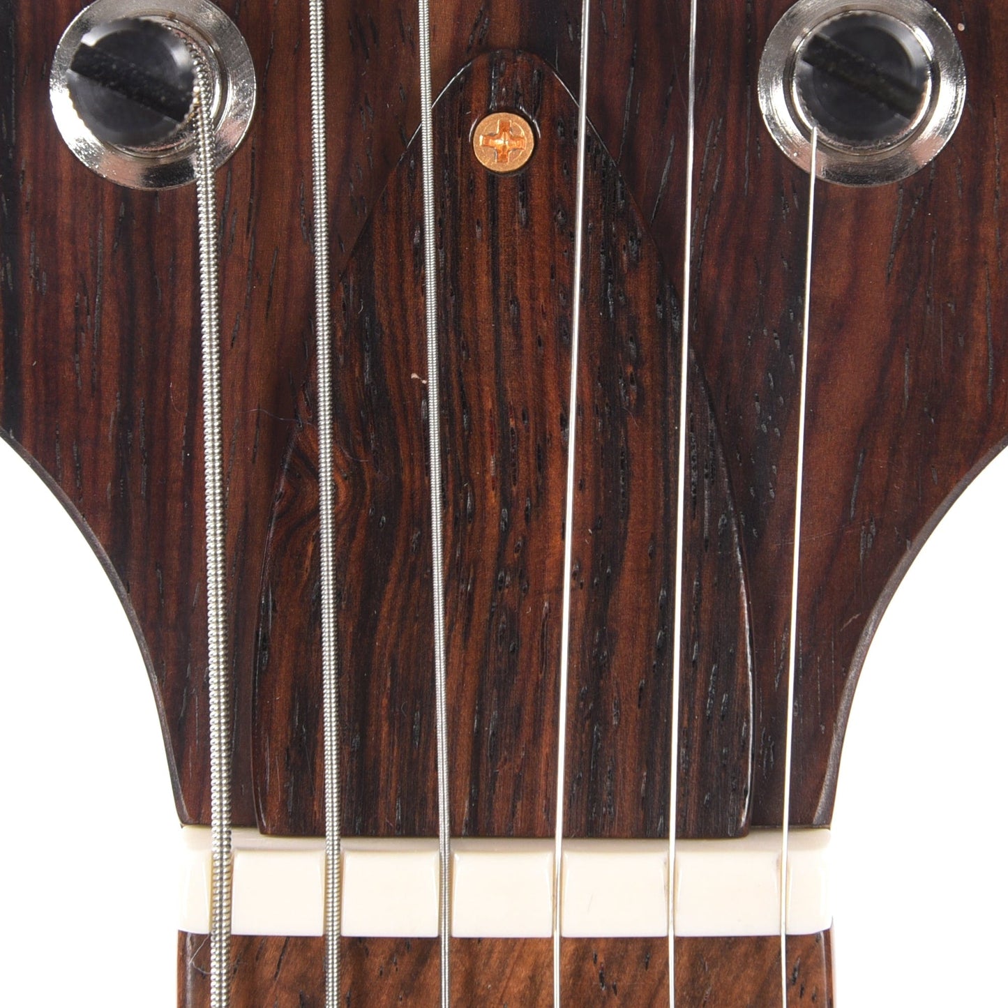 PRS Private Stock #10448 DGT Dragon's Breath Curly Maple w/Figured Mahogany Neck & Cocobolo Fingerboard Electric Guitars / Solid Body