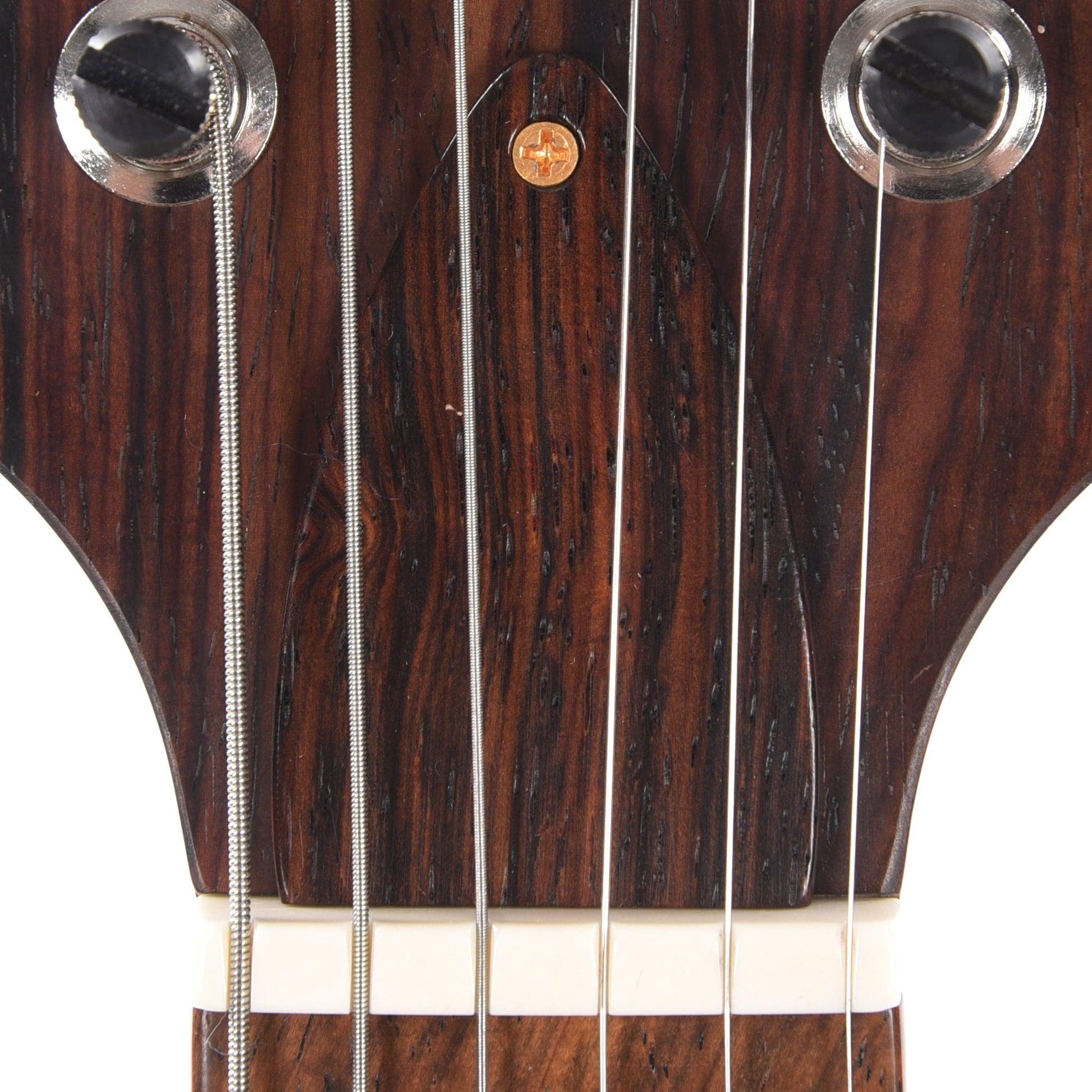 PRS Private Stock #10448 DGT Dragon's Breath Curly Maple w/Figured Mahogany Neck & Cocobolo Fingerboard Electric Guitars / Solid Body