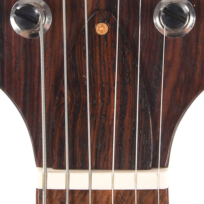 PRS Private Stock #10448 DGT Dragon's Breath Curly Maple w/Figured Mahogany Neck & Cocobolo Fingerboard Electric Guitars / Solid Body