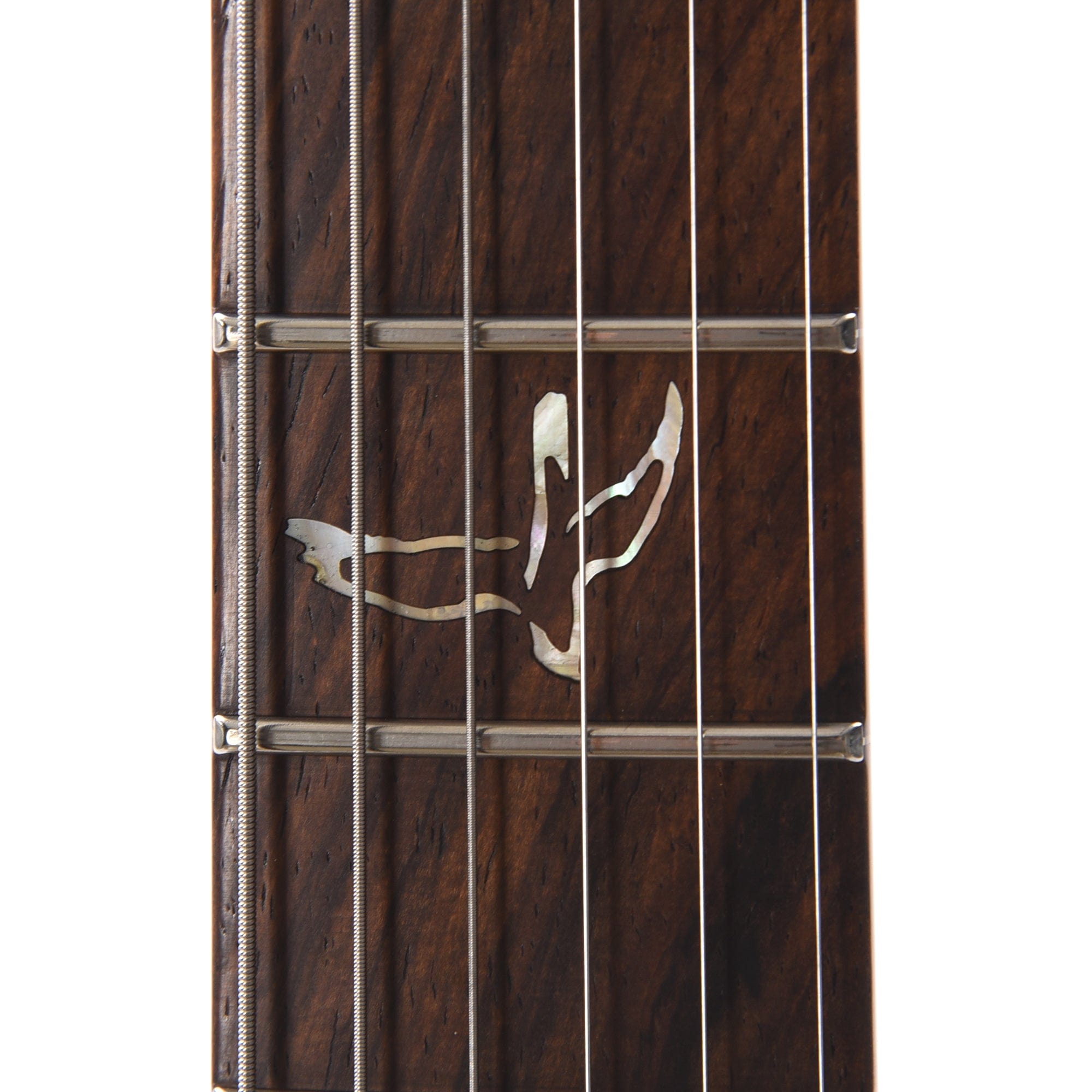 PRS Private Stock #10448 DGT Dragon's Breath Curly Maple w/Figured Mahogany Neck & Cocobolo Fingerboard Electric Guitars / Solid Body