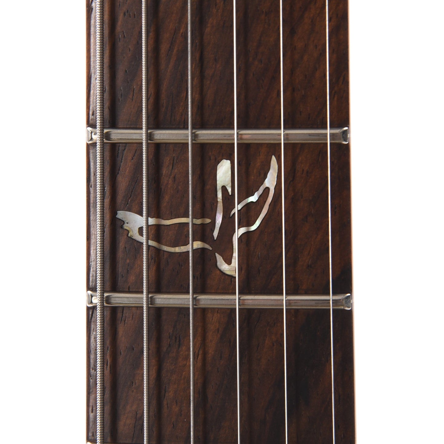 PRS Private Stock #10448 DGT Dragon's Breath Curly Maple w/Figured Mahogany Neck & Cocobolo Fingerboard Electric Guitars / Solid Body