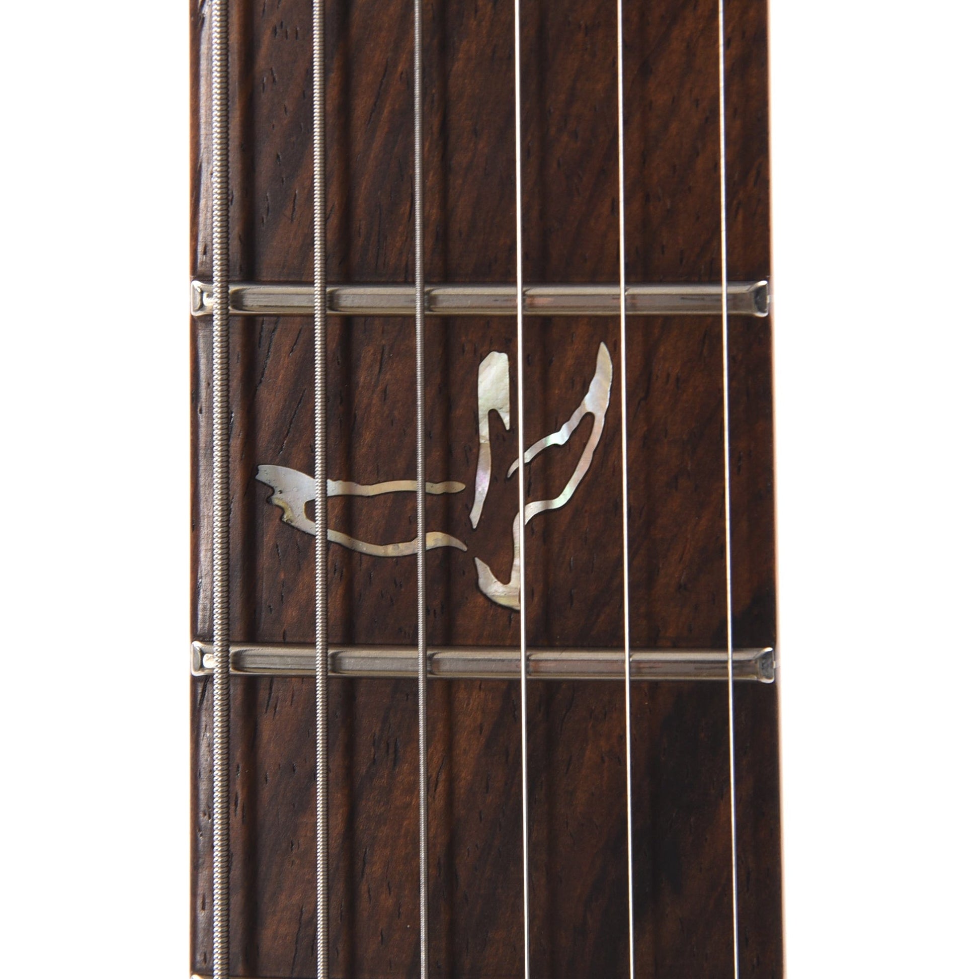 PRS Private Stock #10448 DGT Dragon's Breath Curly Maple w/Figured Mahogany Neck & Cocobolo Fingerboard Electric Guitars / Solid Body