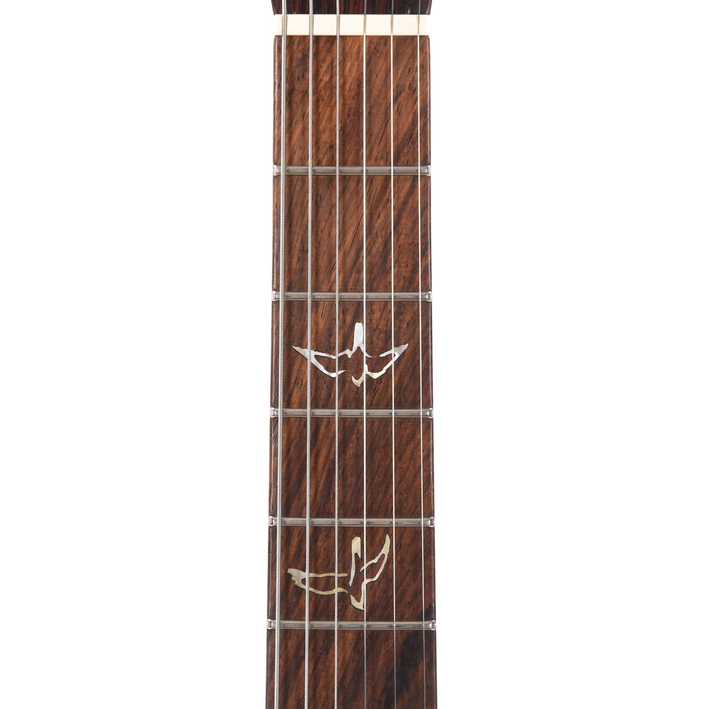 PRS Private Stock #10448 DGT Dragon's Breath Curly Maple w/Figured Mahogany Neck & Cocobolo Fingerboard Electric Guitars / Solid Body