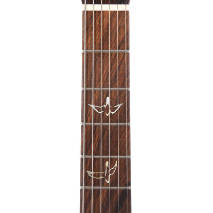 PRS Private Stock #10448 DGT Dragon's Breath Curly Maple w/Figured Mahogany Neck & Cocobolo Fingerboard Electric Guitars / Solid Body