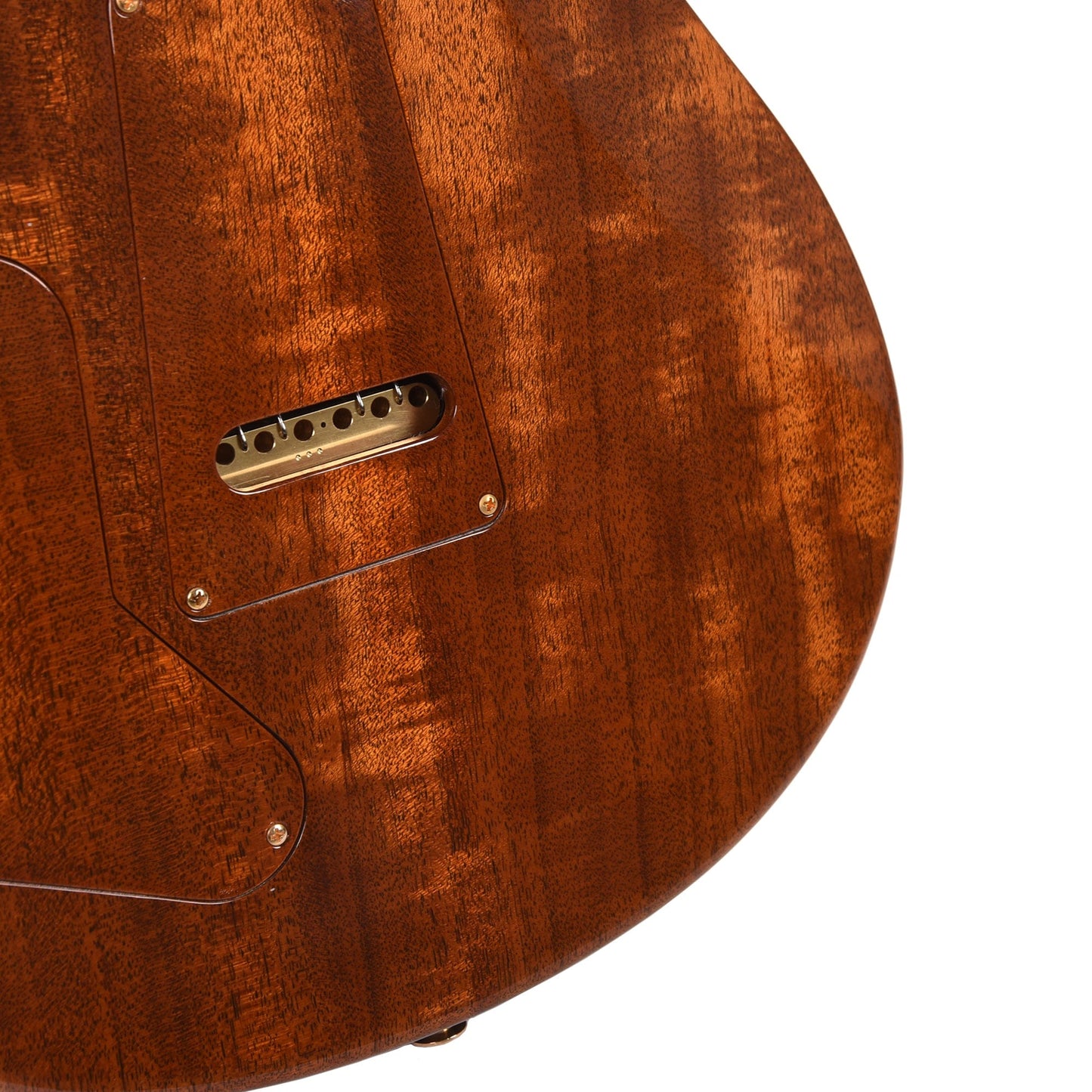 PRS Private Stock #10448 DGT Dragon's Breath Curly Maple w/Figured Mahogany Neck & Cocobolo Fingerboard Electric Guitars / Solid Body