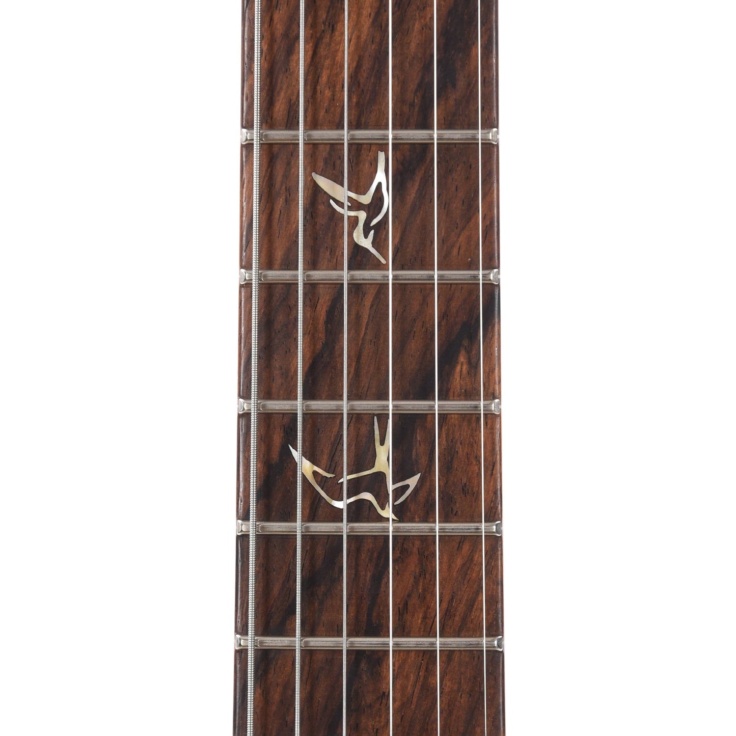 PRS Private Stock #10448 DGT Dragon's Breath Curly Maple w/Figured Mahogany Neck & Cocobolo Fingerboard Electric Guitars / Solid Body