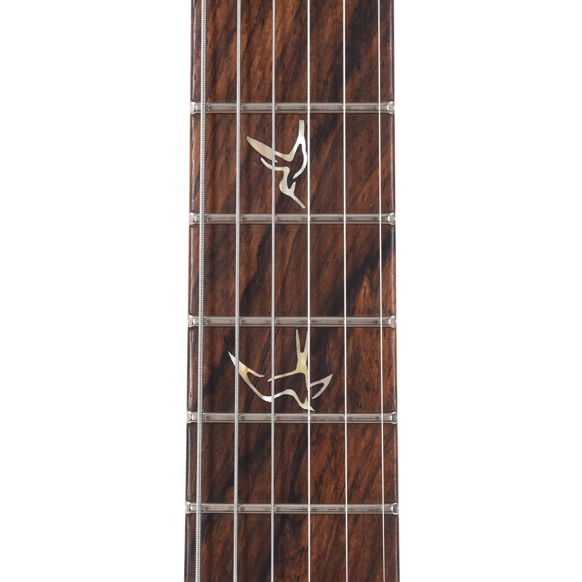 PRS Private Stock #10448 DGT Dragon's Breath Curly Maple w/Figured Mahogany Neck & Cocobolo Fingerboard Electric Guitars / Solid Body