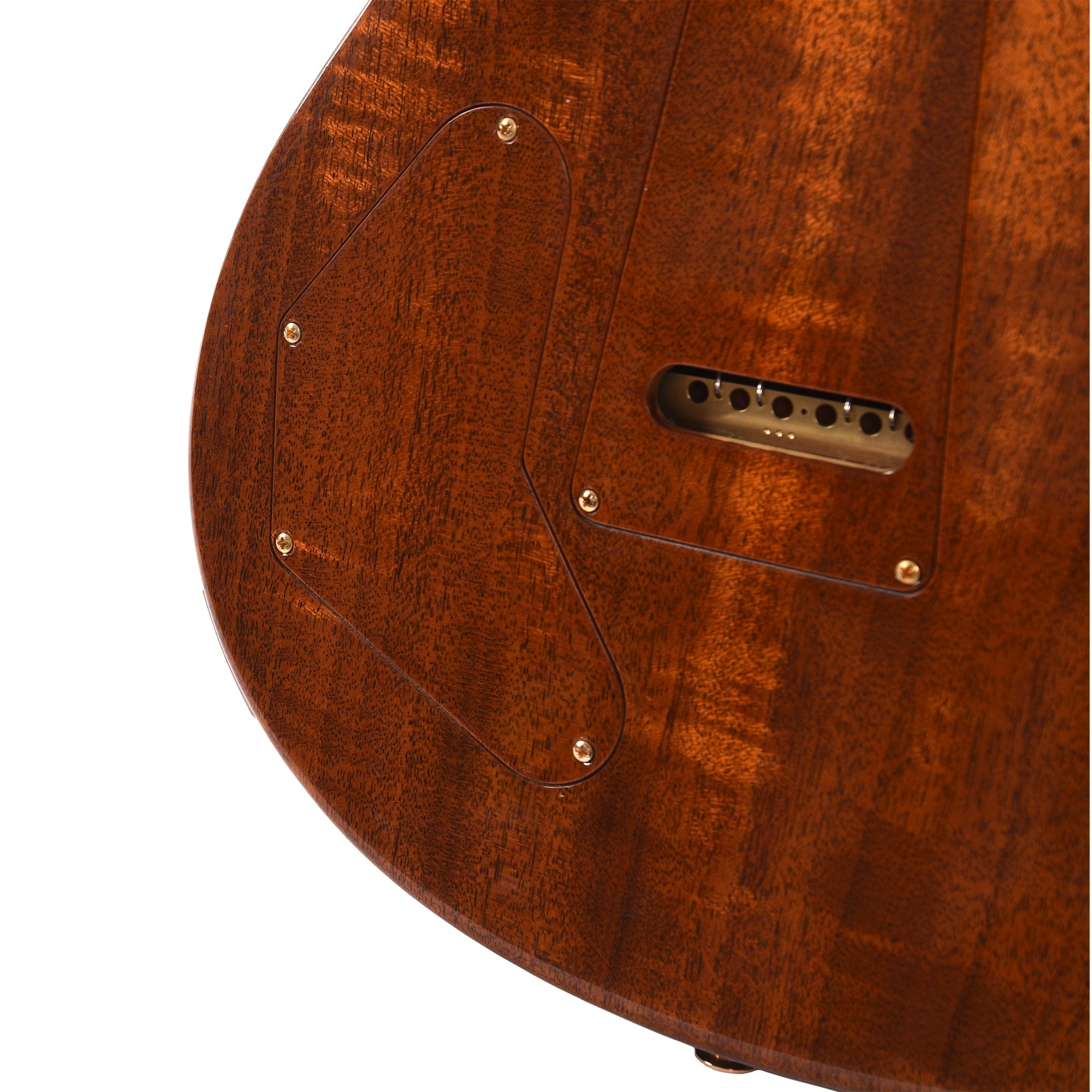 PRS Private Stock #10448 DGT Dragon's Breath Curly Maple w/Figured Mahogany Neck & Cocobolo Fingerboard Electric Guitars / Solid Body