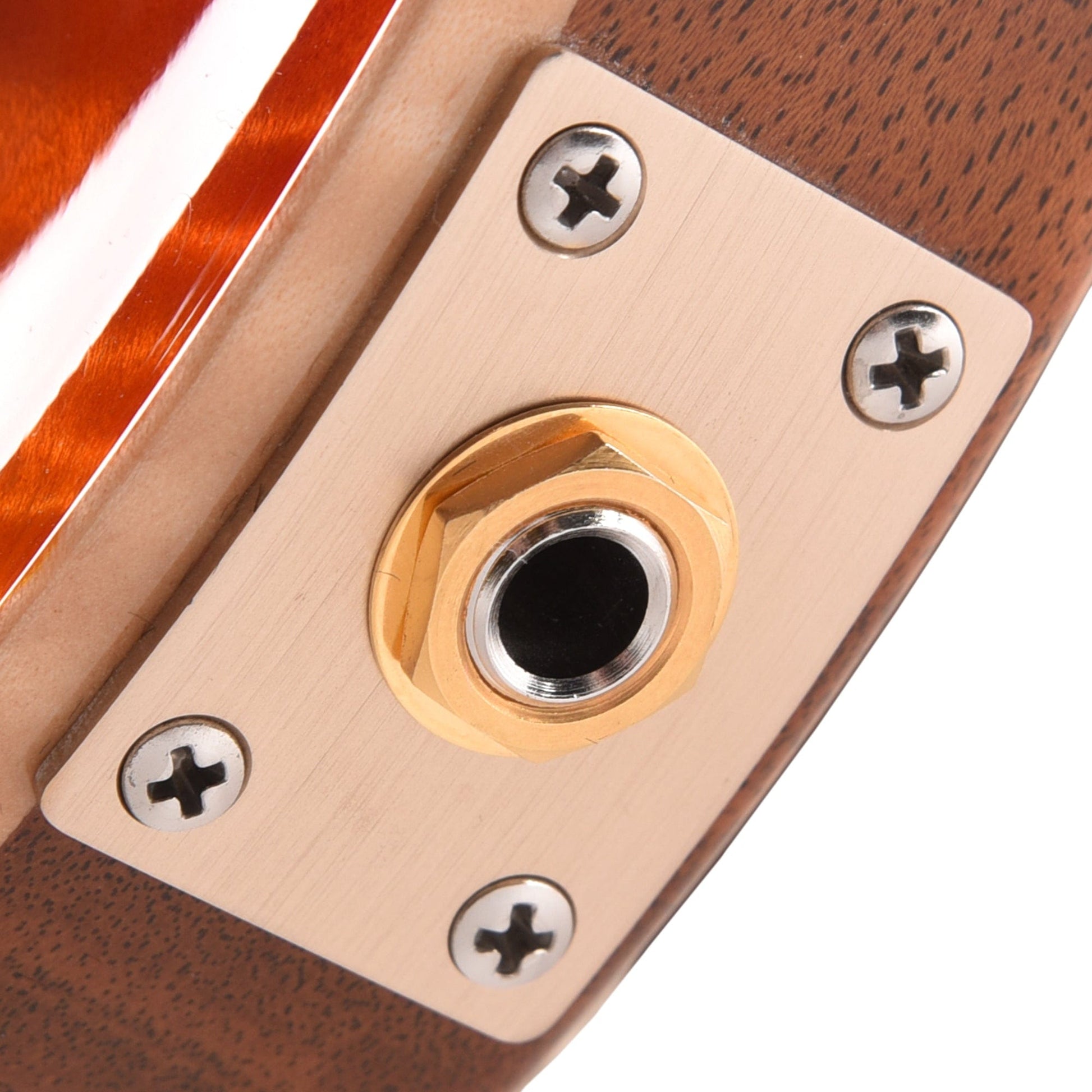 PRS Private Stock #10448 DGT Dragon's Breath Curly Maple w/Figured Mahogany Neck & Cocobolo Fingerboard Electric Guitars / Solid Body