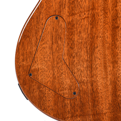 PRS Private Stock #11767 Paul's Guitar Curly Maple/African Mahogany Rainforest Glow w/Stained Neck/Fingerboard & Birds of a Feather Inlay Electric Guitars / Solid Body