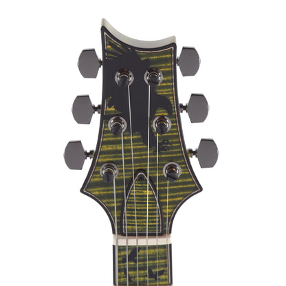 PRS Private Stock #11767 Paul's Guitar Curly Maple/African Mahogany Rainforest Glow w/Stained Neck/Fingerboard & Birds of a Feather Inlay Electric Guitars / Solid Body