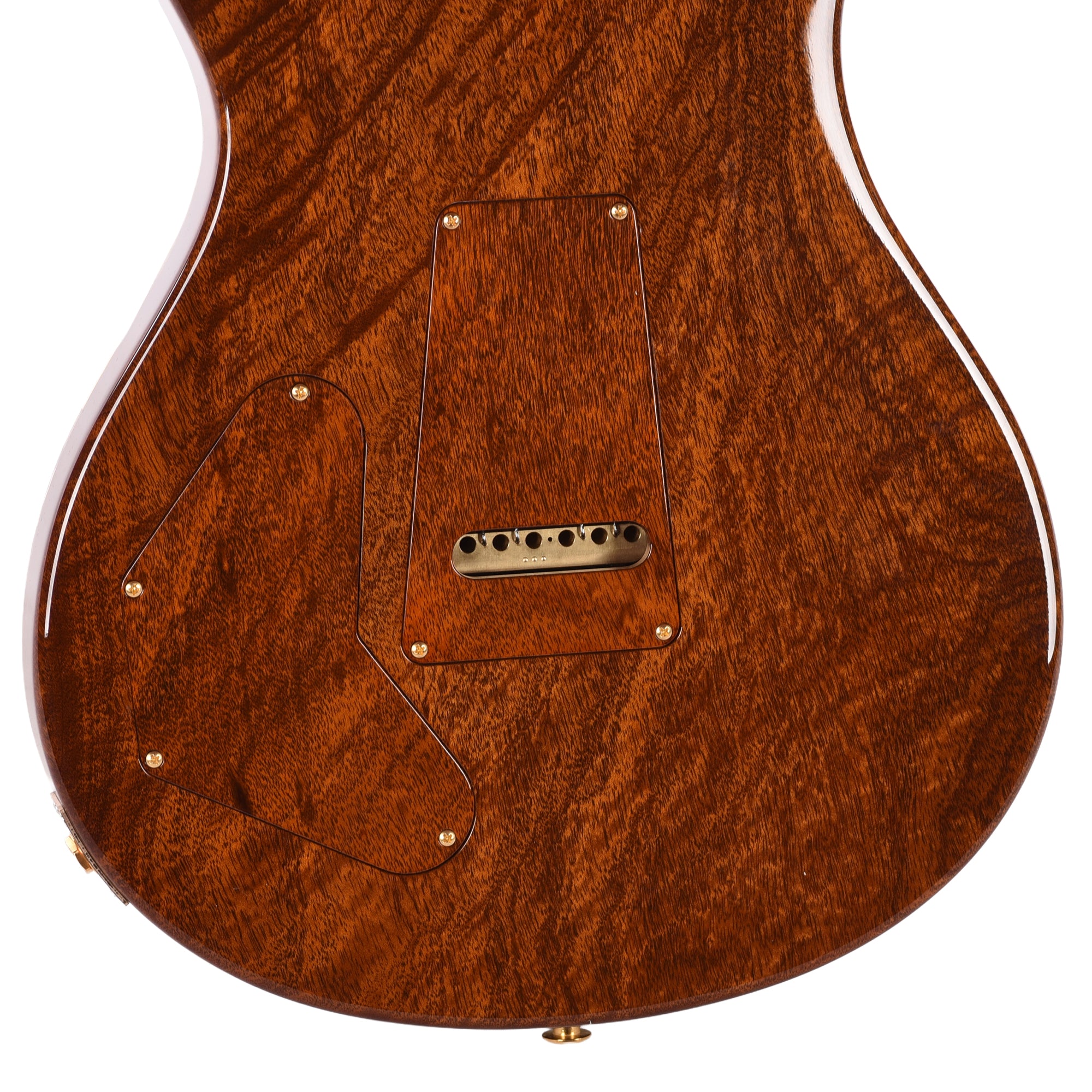 PRS Private Stock #12231 DGT Spalted Maple/African Mahogany Natural w/Gold Leaf Paint & Hormigo Neck Electric Guitars / Solid Body