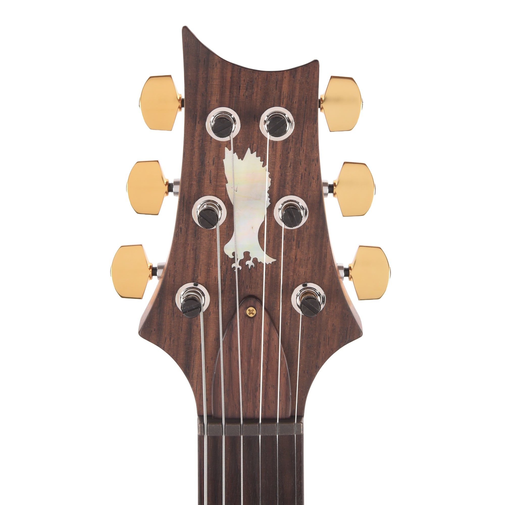 PRS Private Stock #12231 DGT Spalted Maple/African Mahogany Natural w/Gold Leaf Paint & Hormigo Neck Electric Guitars / Solid Body