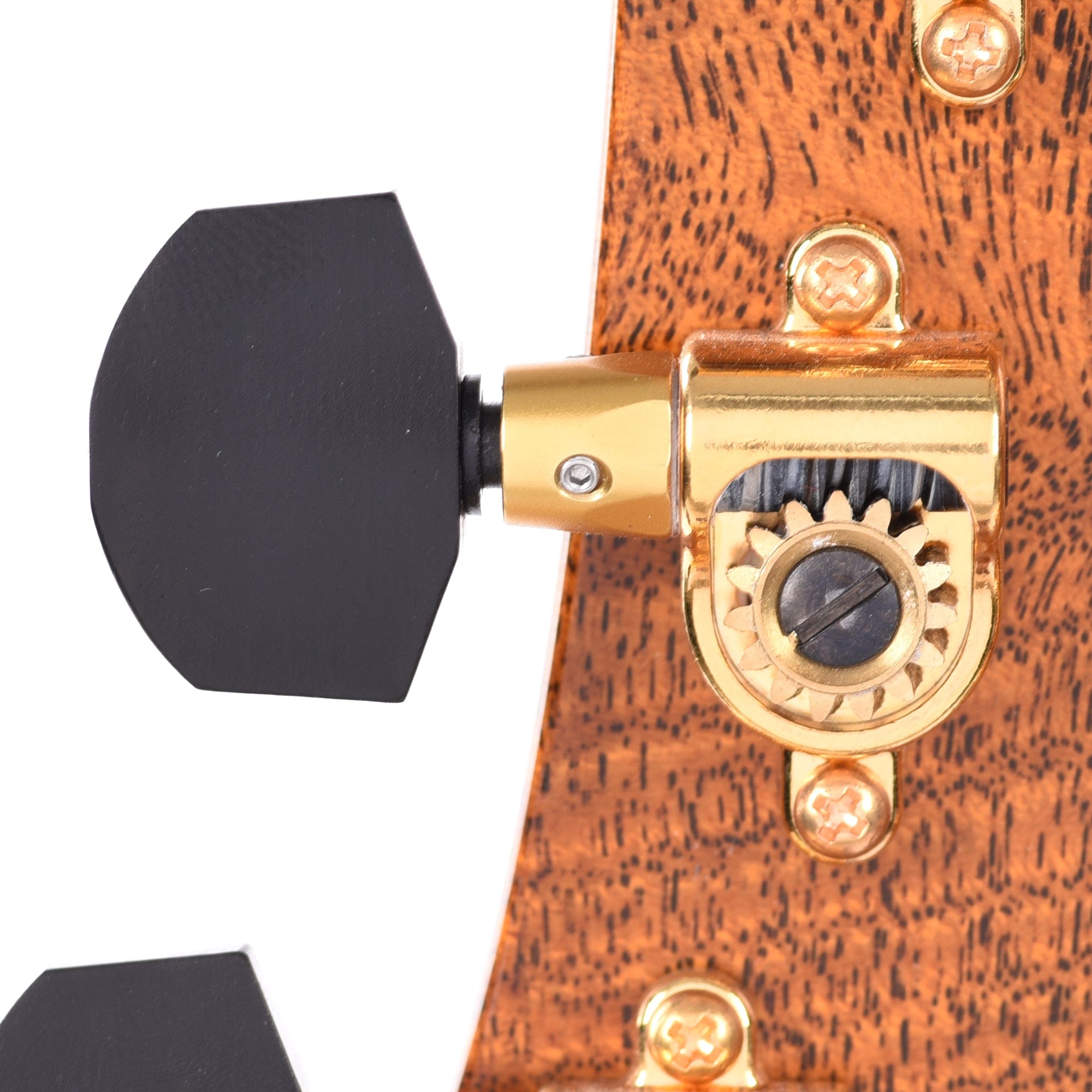 PRS Private Stock Hollowbody II Piezo Redwood Burl Natural w/Wrap Around Micro Burst Electric Guitars / Solid Body