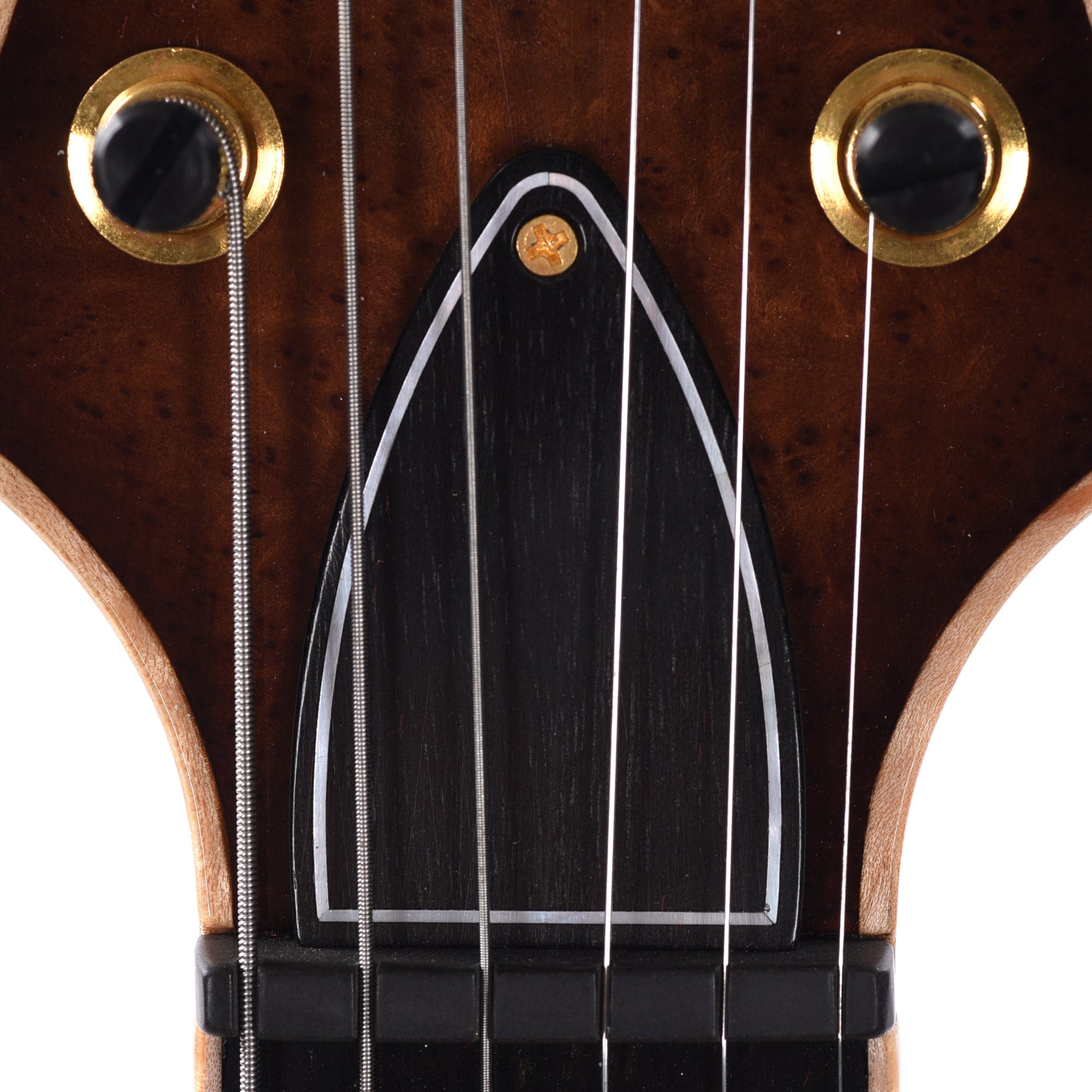 PRS Private Stock Hollowbody II Piezo Redwood Burl Natural w/Wrap Around Micro Burst Electric Guitars / Solid Body