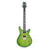 PRS S2 Custom 24-08 Eriza Verde Electric Guitars / Solid Body