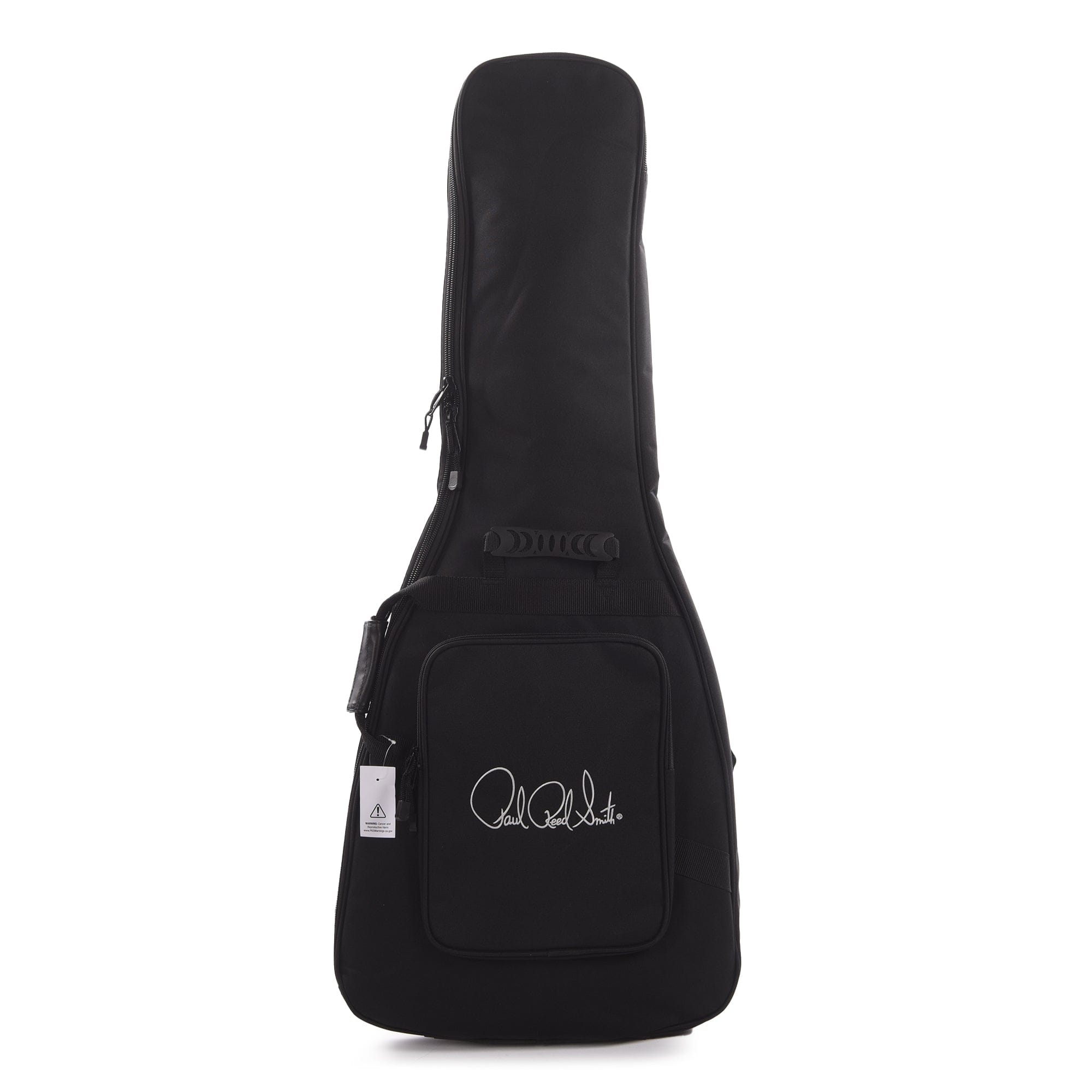 PRS S2 Custom 24 Eriza Verde Electric Guitars / Solid Body