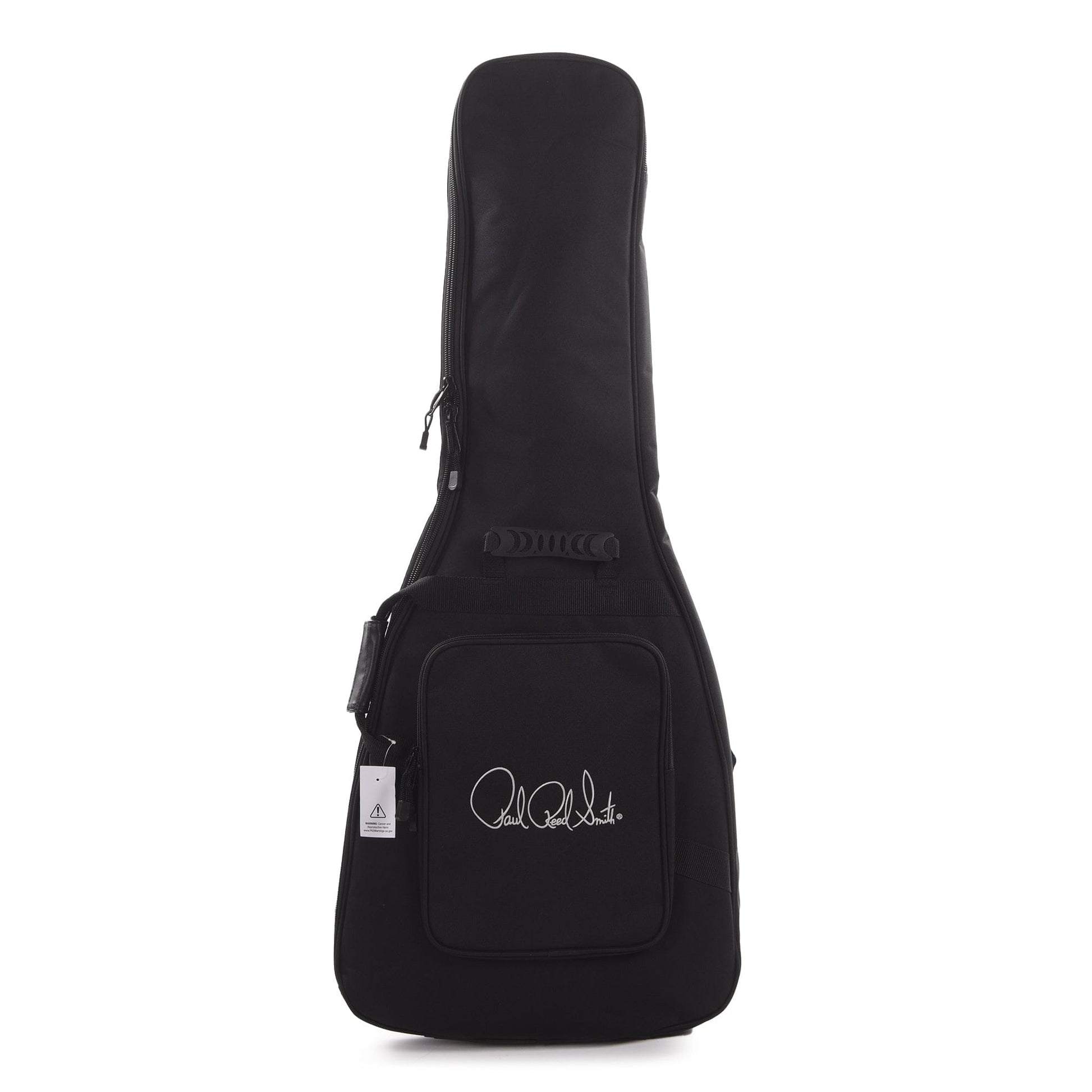 PRS S2 Custom 24 Eriza Verde Electric Guitars / Solid Body