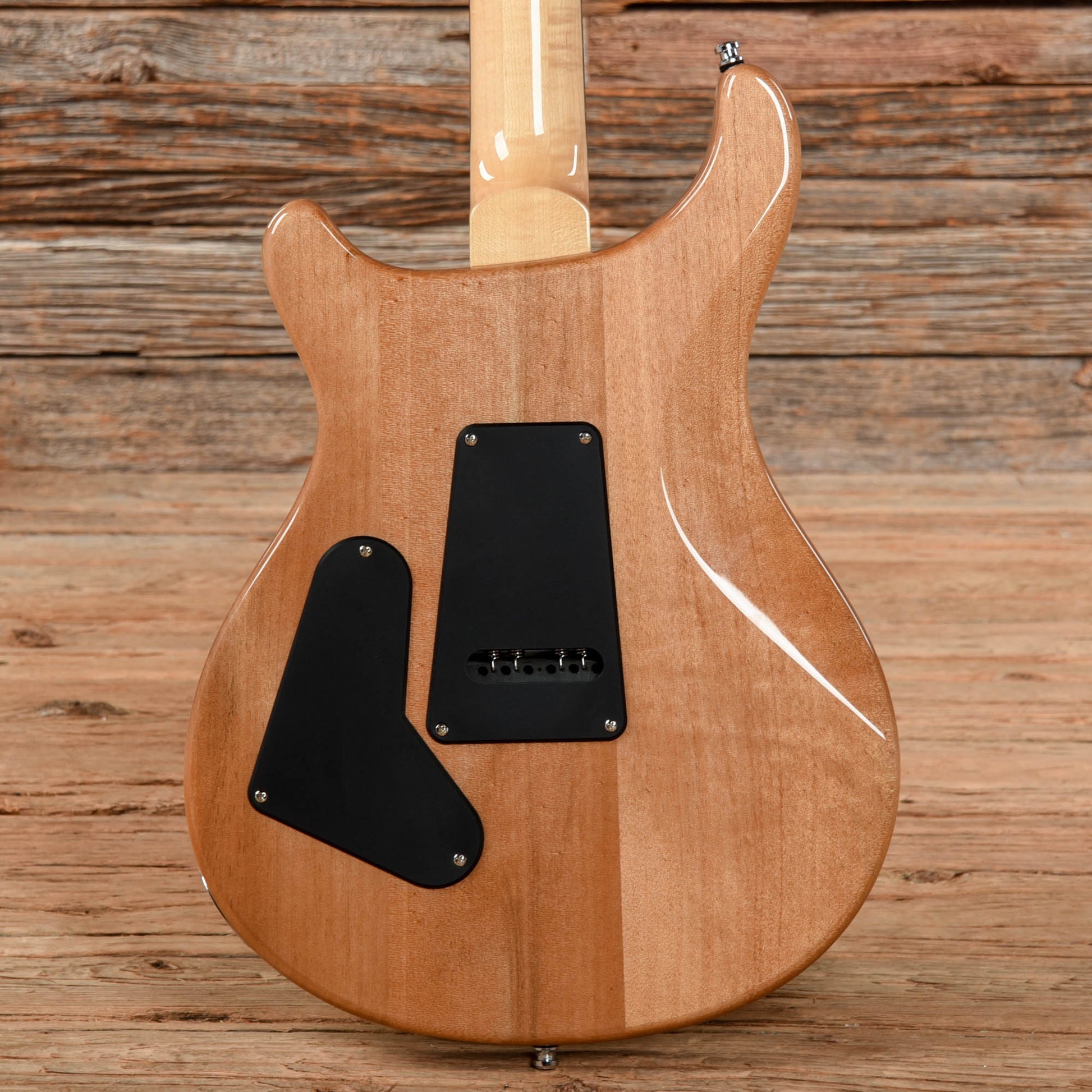 PRS SE Custom 24 Eriza Verda 2021 Electric Guitars / Solid Body