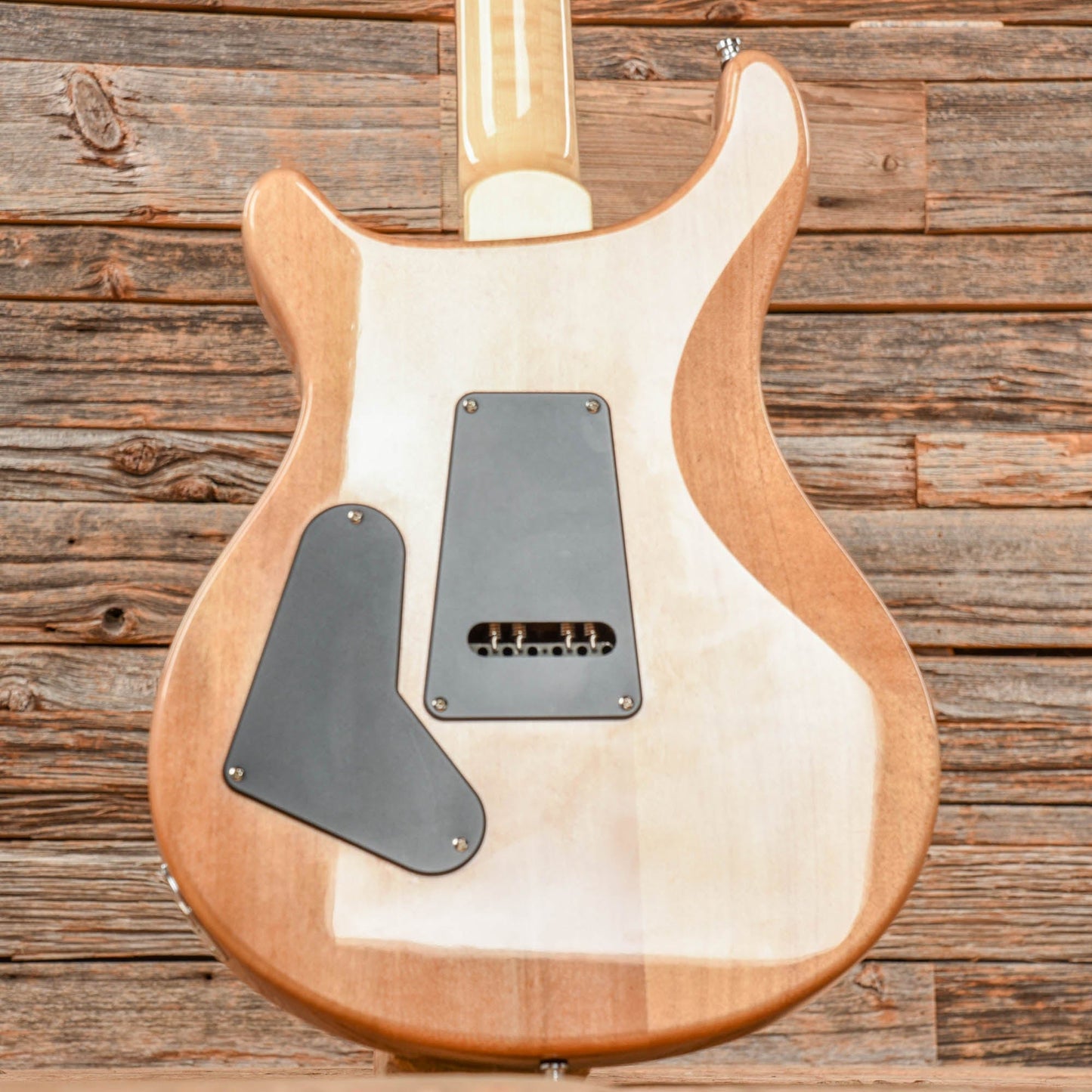PRS SE Custom 24 Eriza Verda 2021 Electric Guitars / Solid Body