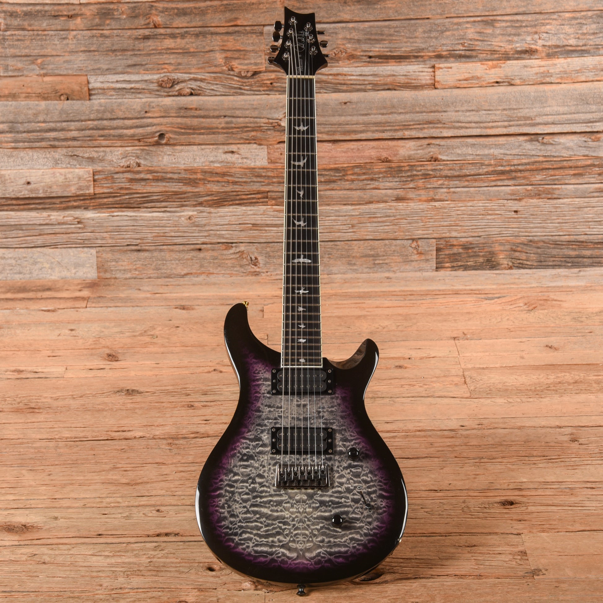 PRS SE Mark Holcomb SVN Holcomb Burst Electric Guitars / Solid Body
