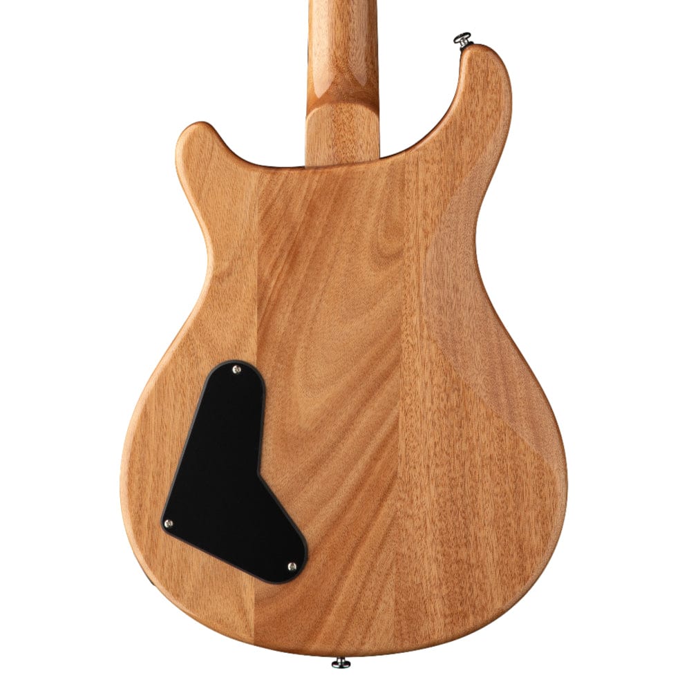 PRS SE Paul's Guitar Charcoal Electric Guitars / Solid Body