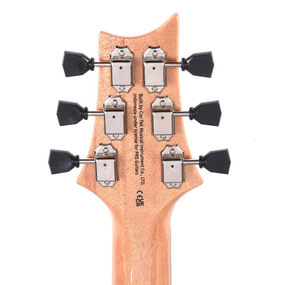 PRS SE Paul's Guitar Turquoise Electric Guitars / Solid Body