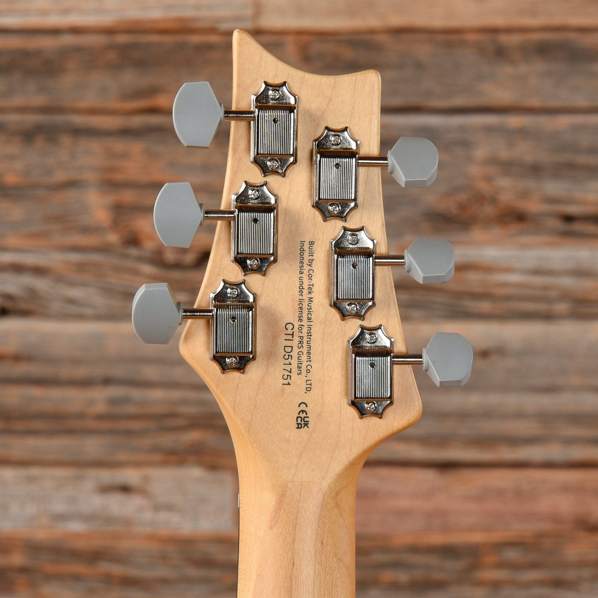 PRS SE Silver Sky Dragon Fruit 2021 Electric Guitars / Solid Body