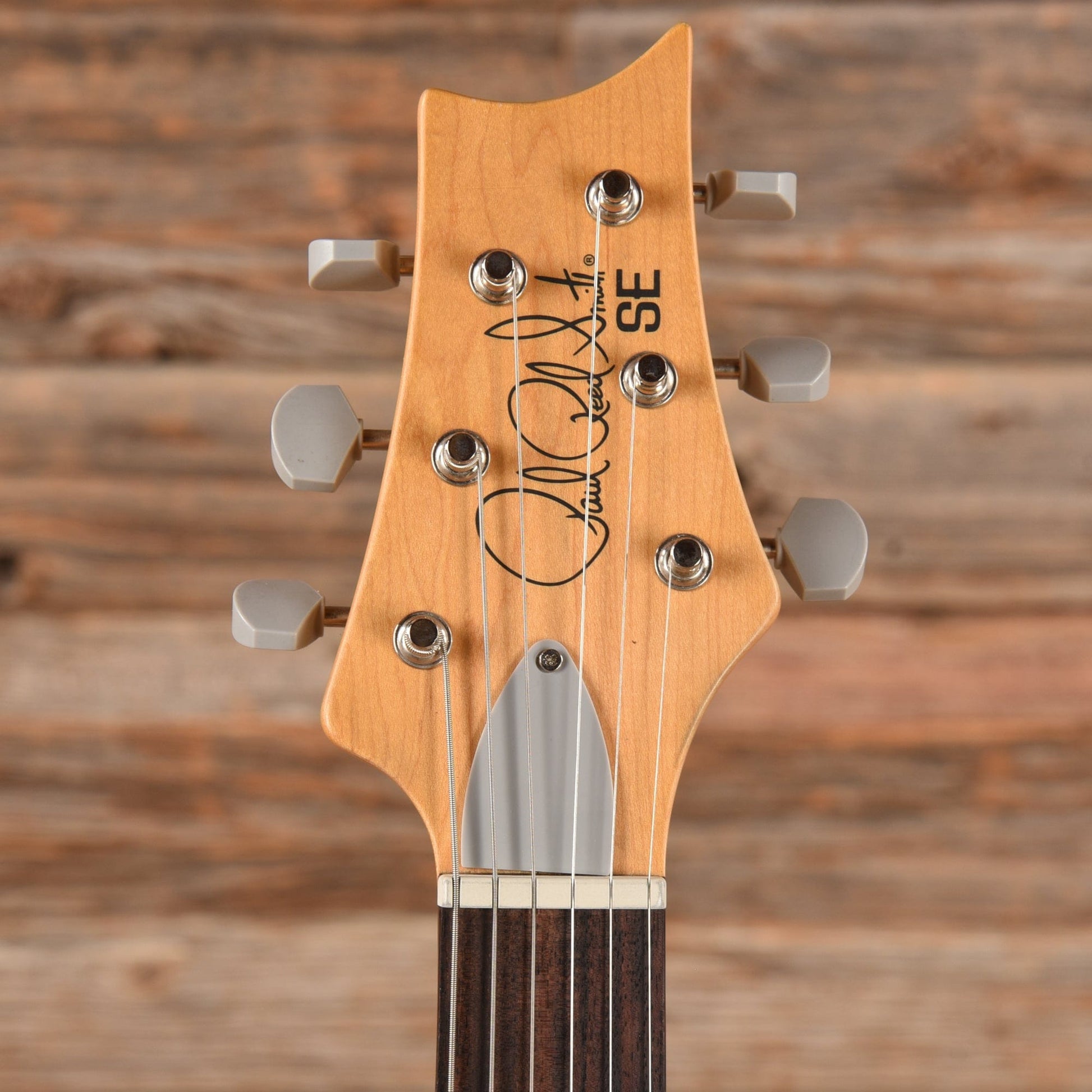 PRS SE Silver Sky Ever Green 2023 Electric Guitars / Solid Body