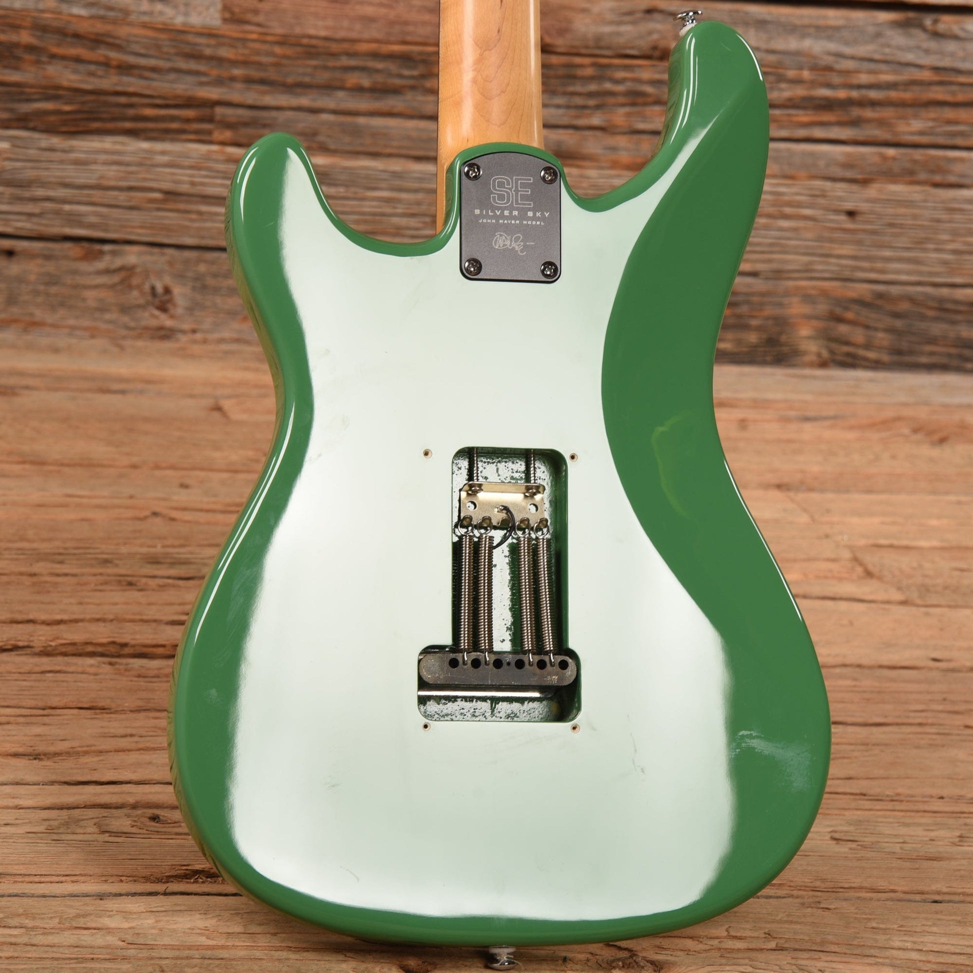 PRS SE Silver Sky Ever Green 2023 Electric Guitars / Solid Body