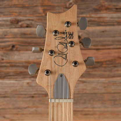 PRS SE Silver Sky Gray Electric Guitars / Solid Body
