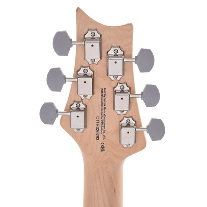 PRS SE Silver Sky Maple Overland Gray Electric Guitars / Solid Body