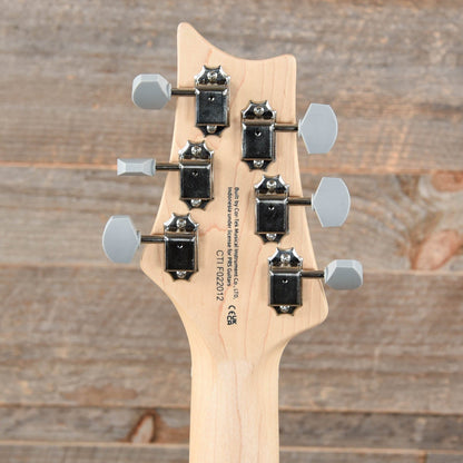 PRS SE Silver Sky Maple Summit Purple Electric Guitars / Solid Body