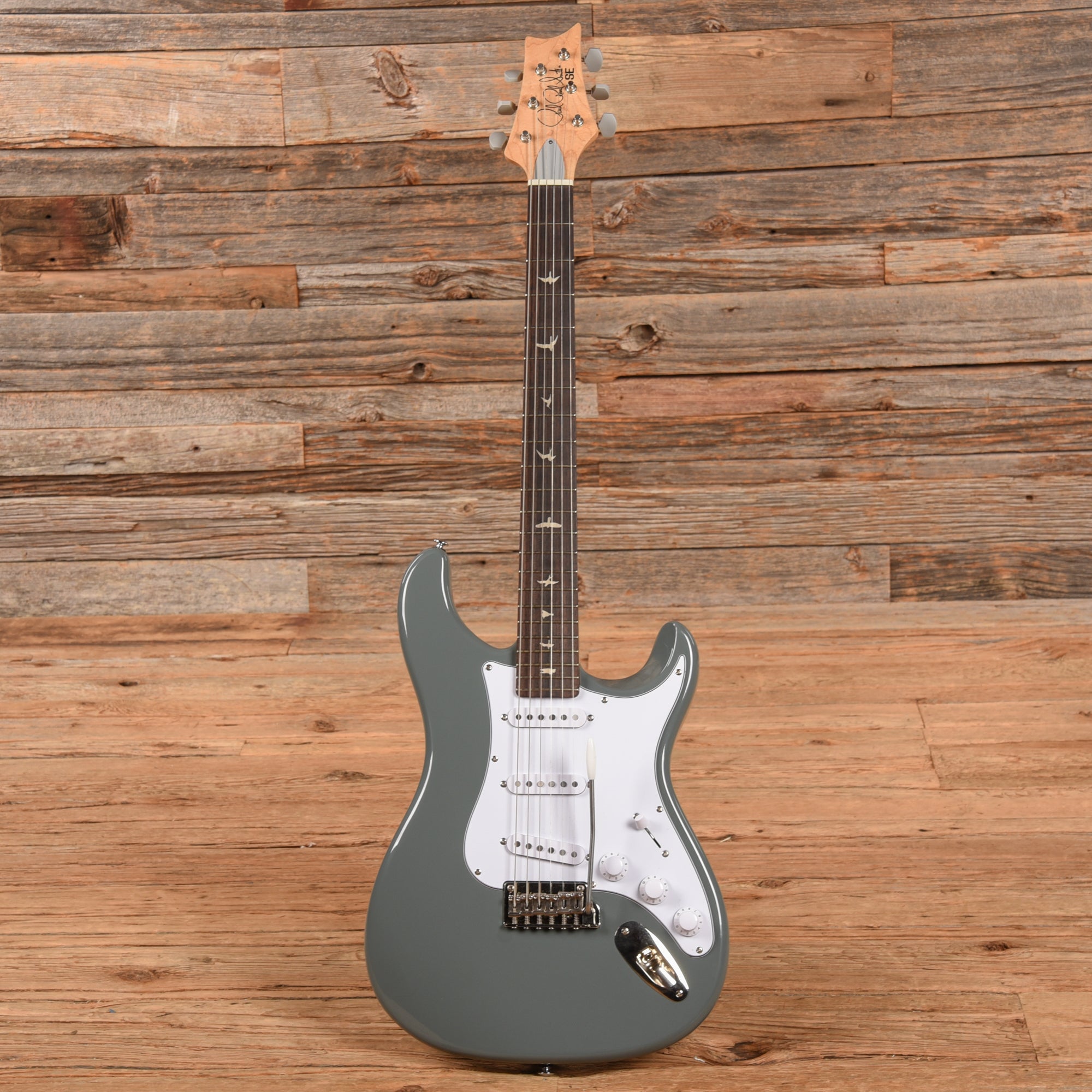 PRS SE Silver Sky Storm Grey Electric Guitars / Solid Body