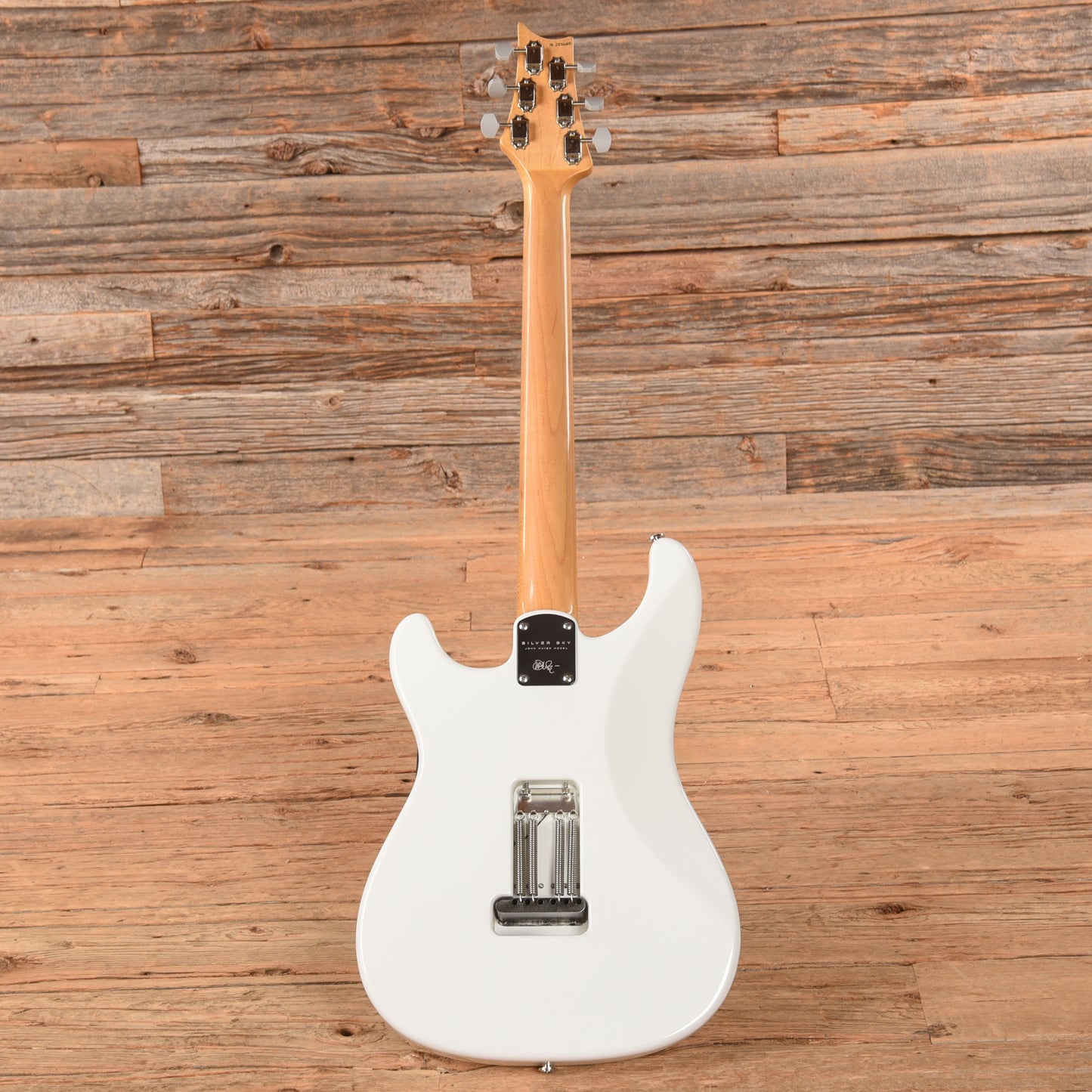 PRS Silver Sky Frost 2018 Electric Guitars / Solid Body