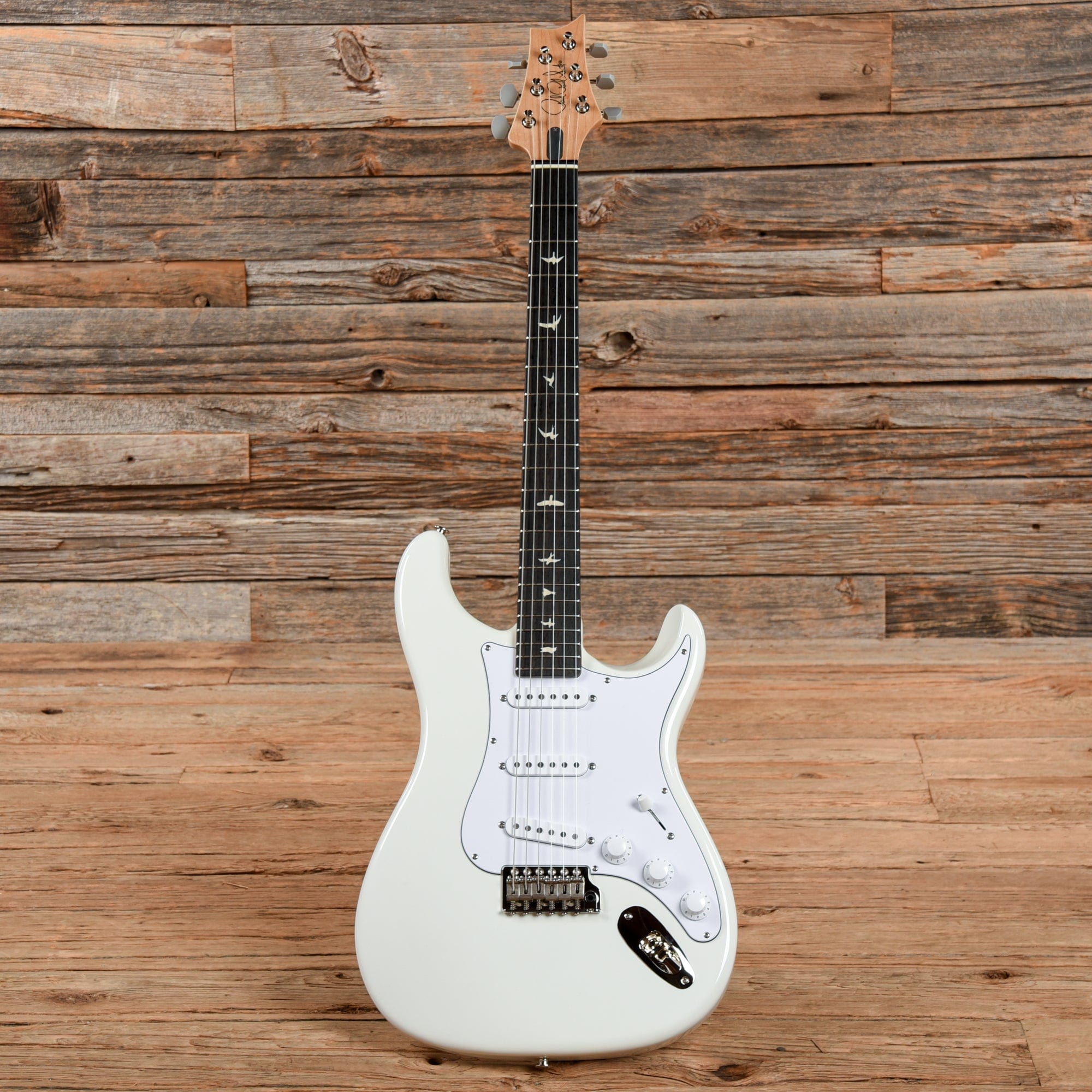 PRS Silver Sky Frost 2023 Electric Guitars / Solid Body