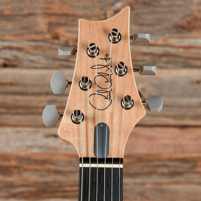 PRS Silver Sky Frost 2023 Electric Guitars / Solid Body