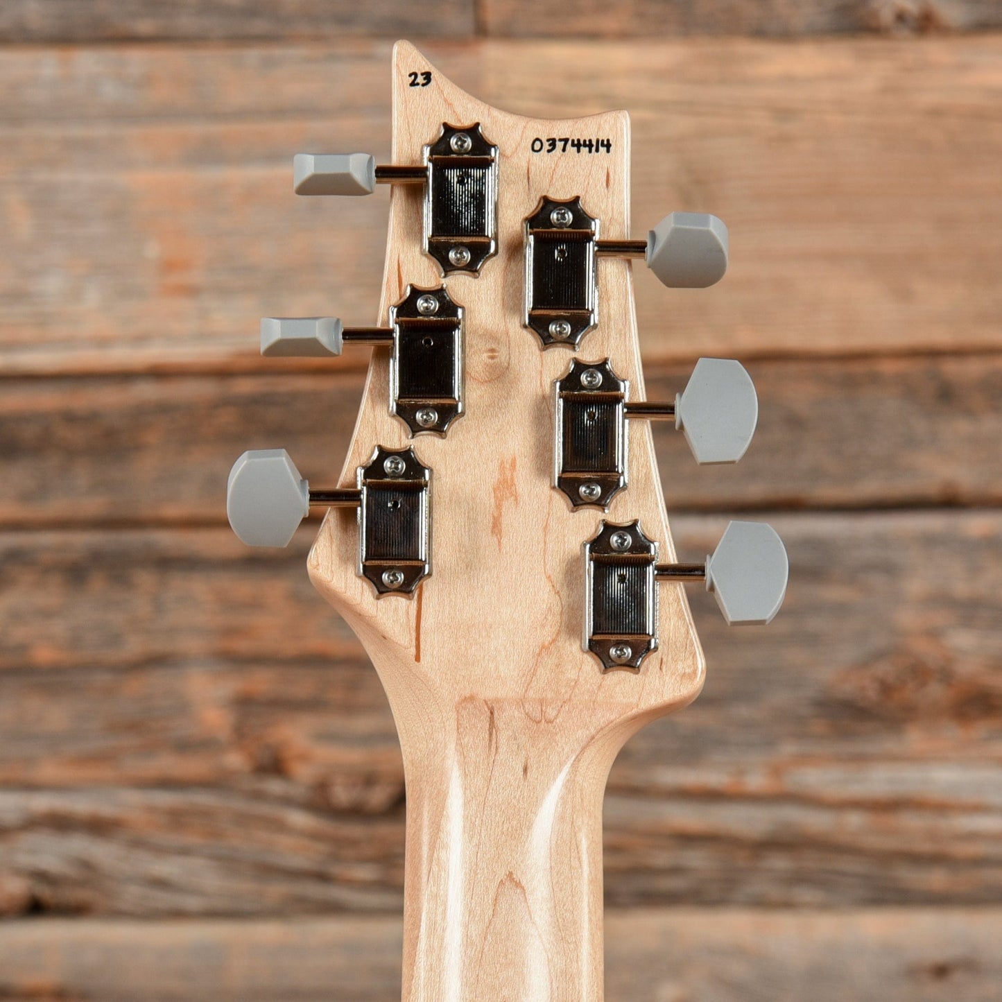 PRS Silver Sky Frost 2023 Electric Guitars / Solid Body