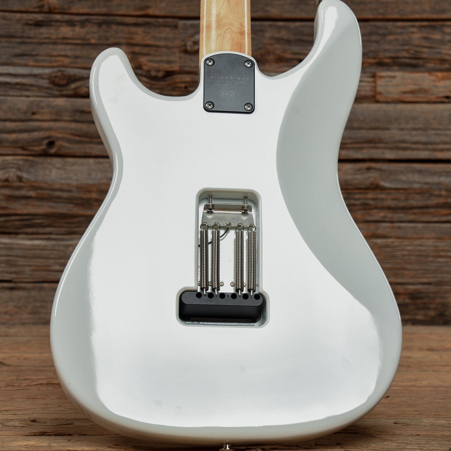 PRS Silver Sky Frost 2023 Electric Guitars / Solid Body