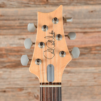 PRS Silver Sky Golden Mesa 2019 Electric Guitars / Solid Body