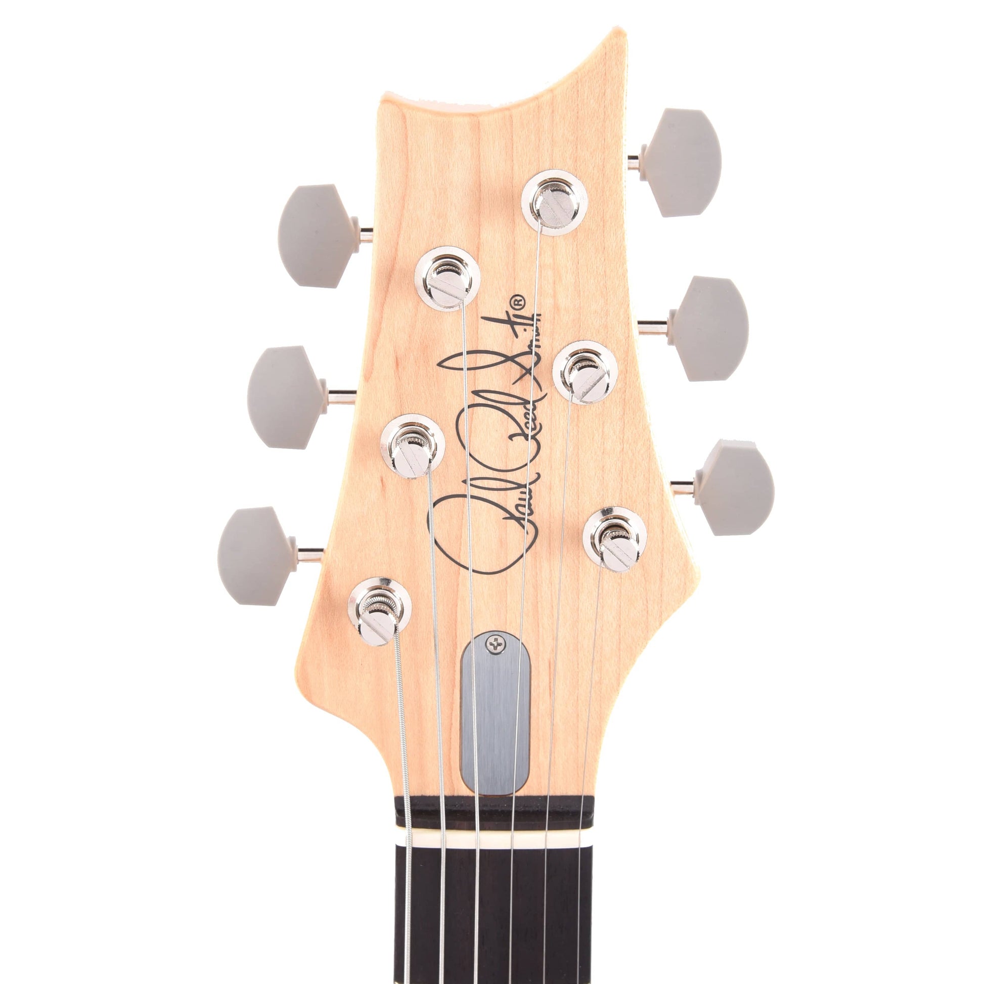 PRS Silver Sky John Mayer Frost Electric Guitars / Solid Body